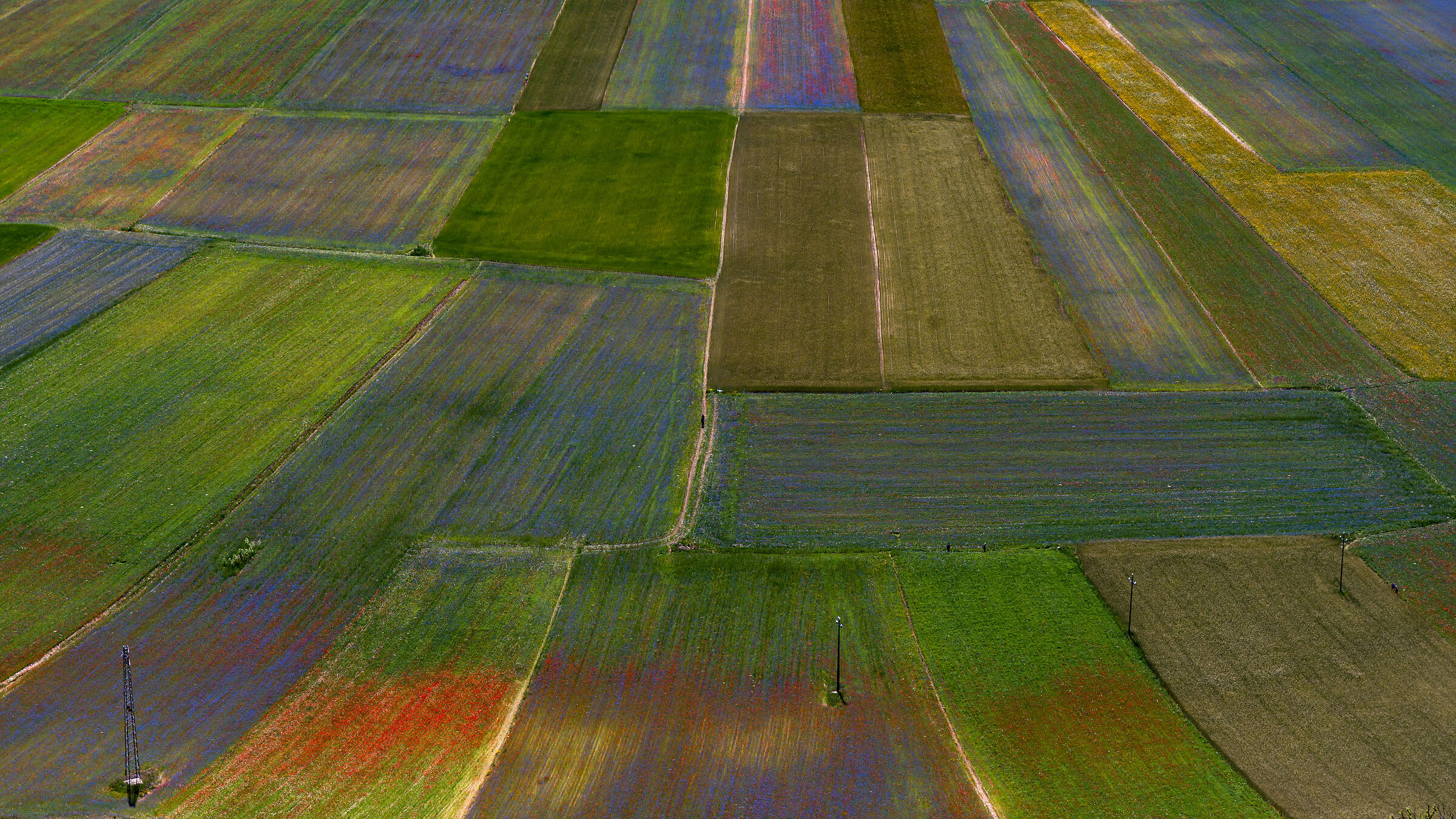 Walking among the Colors