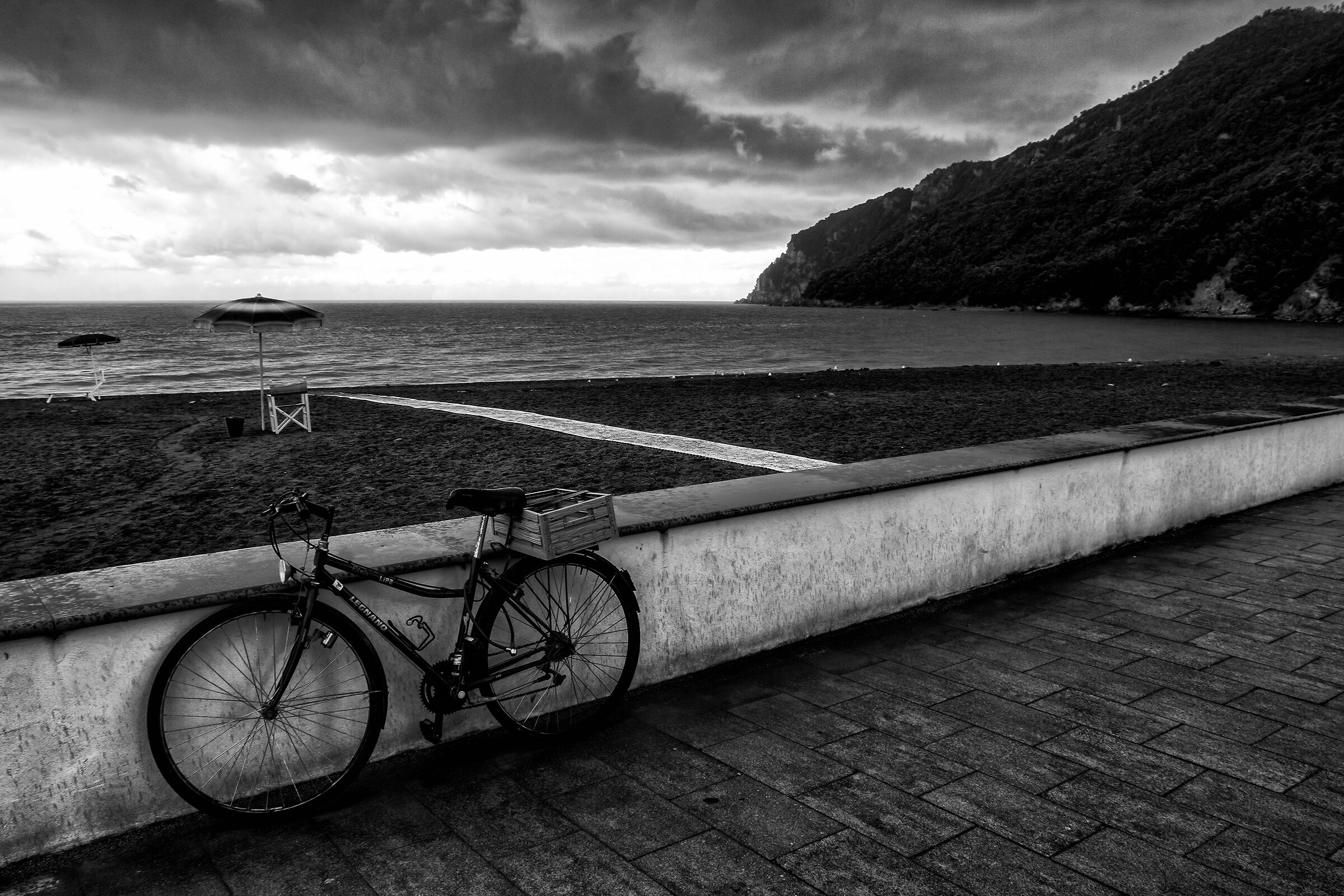 Thunderstorm coming soon