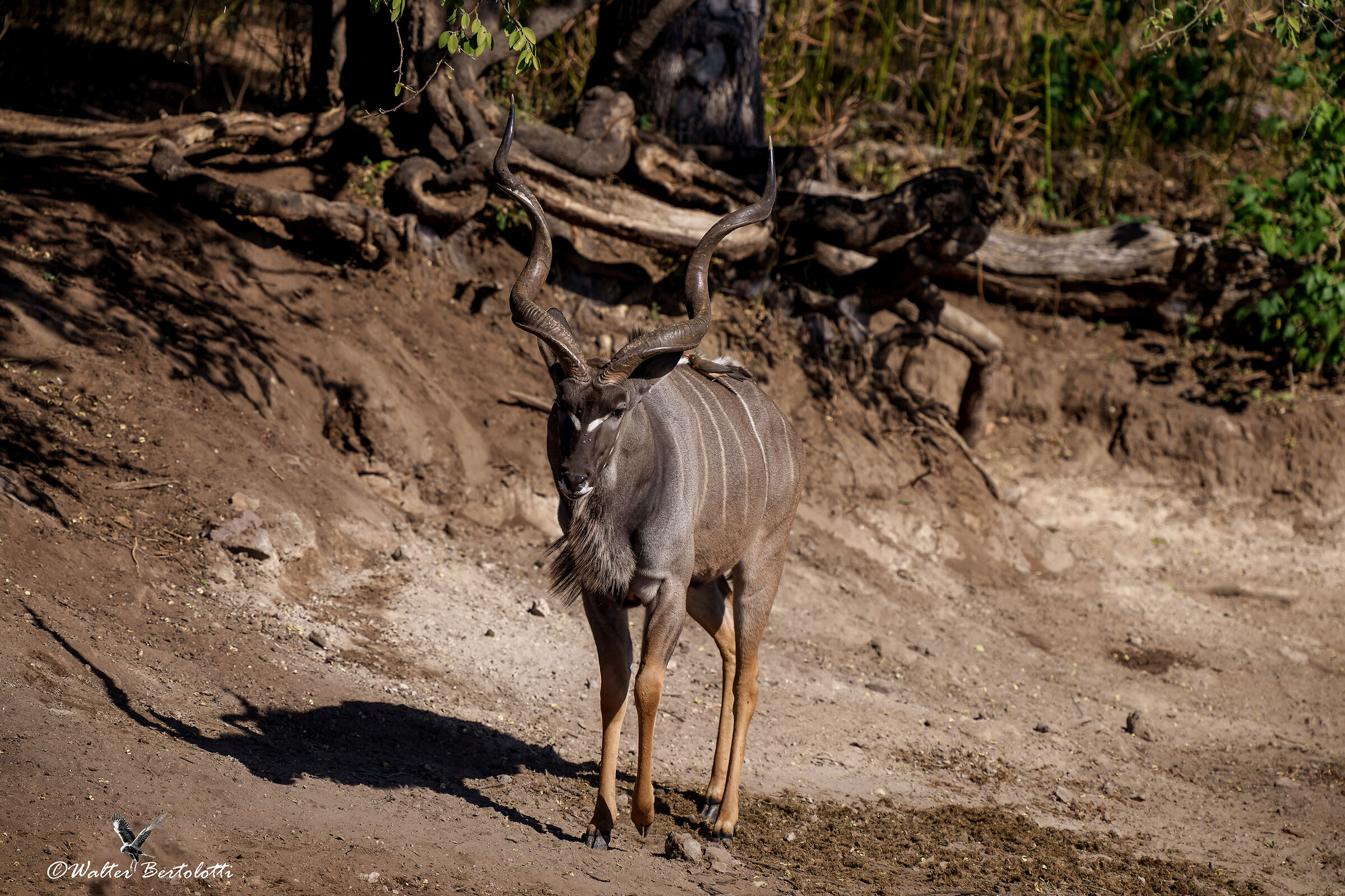questa sponda è mia