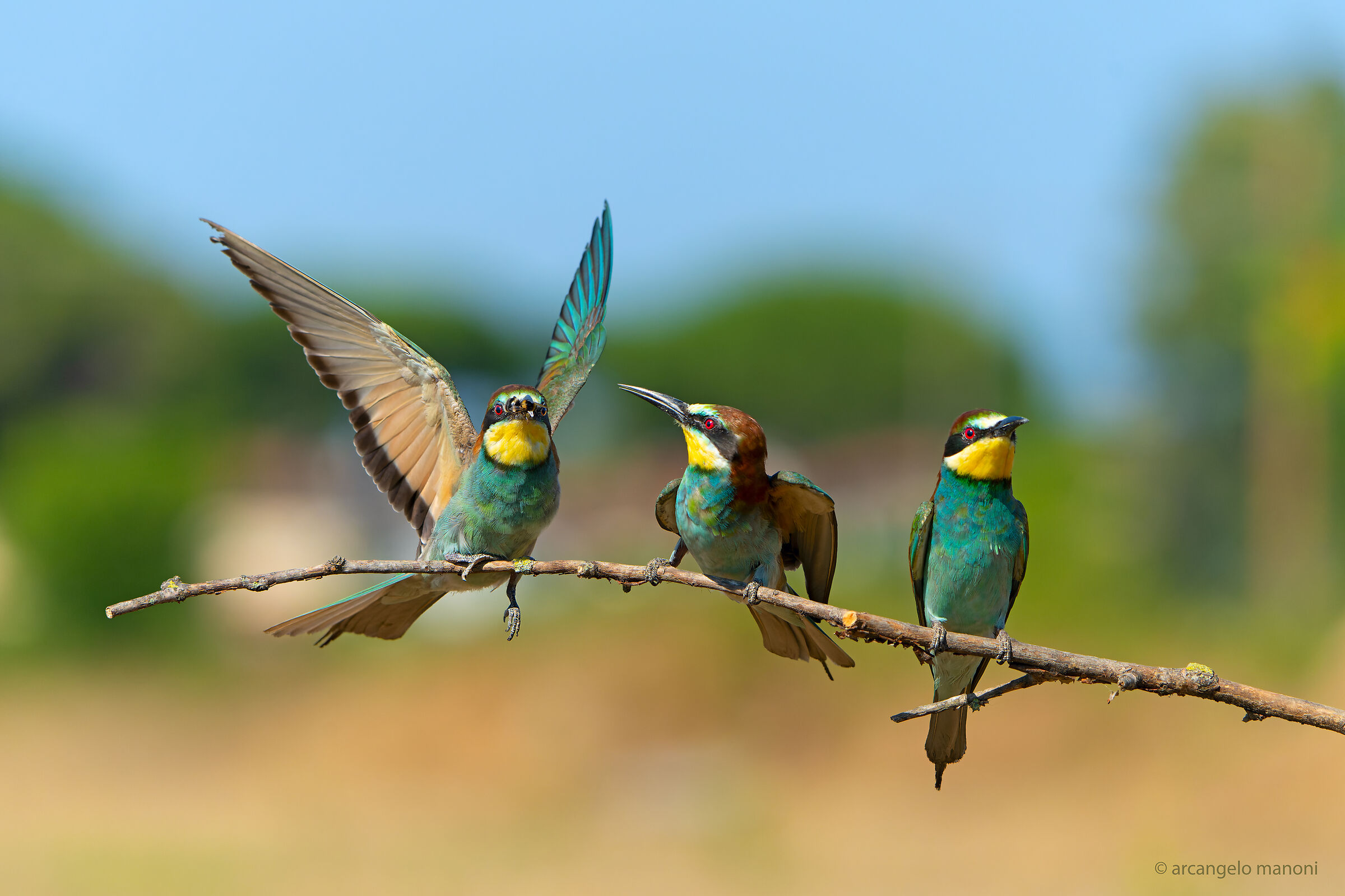 Here come the provisions