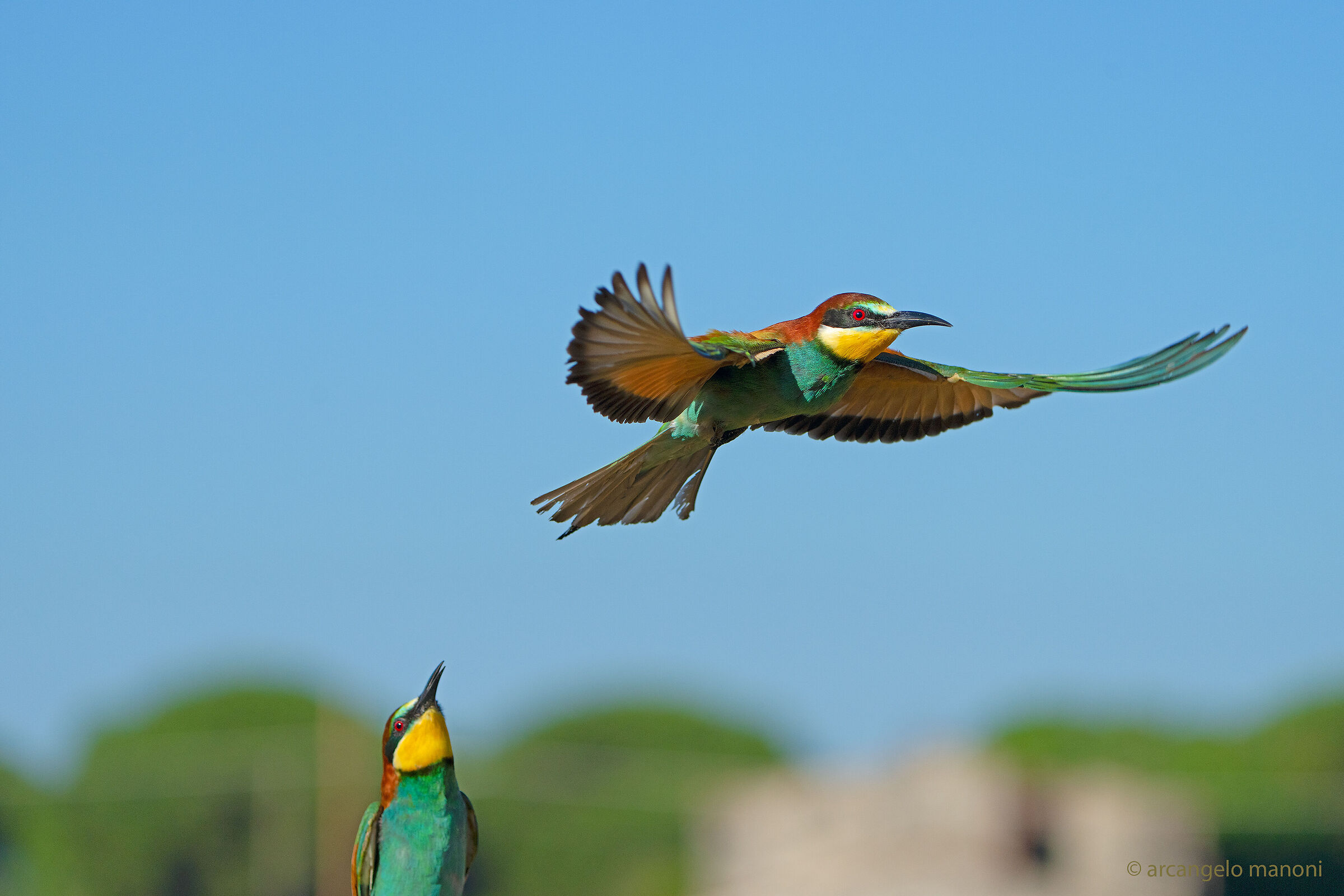 How beautiful it is to fly!