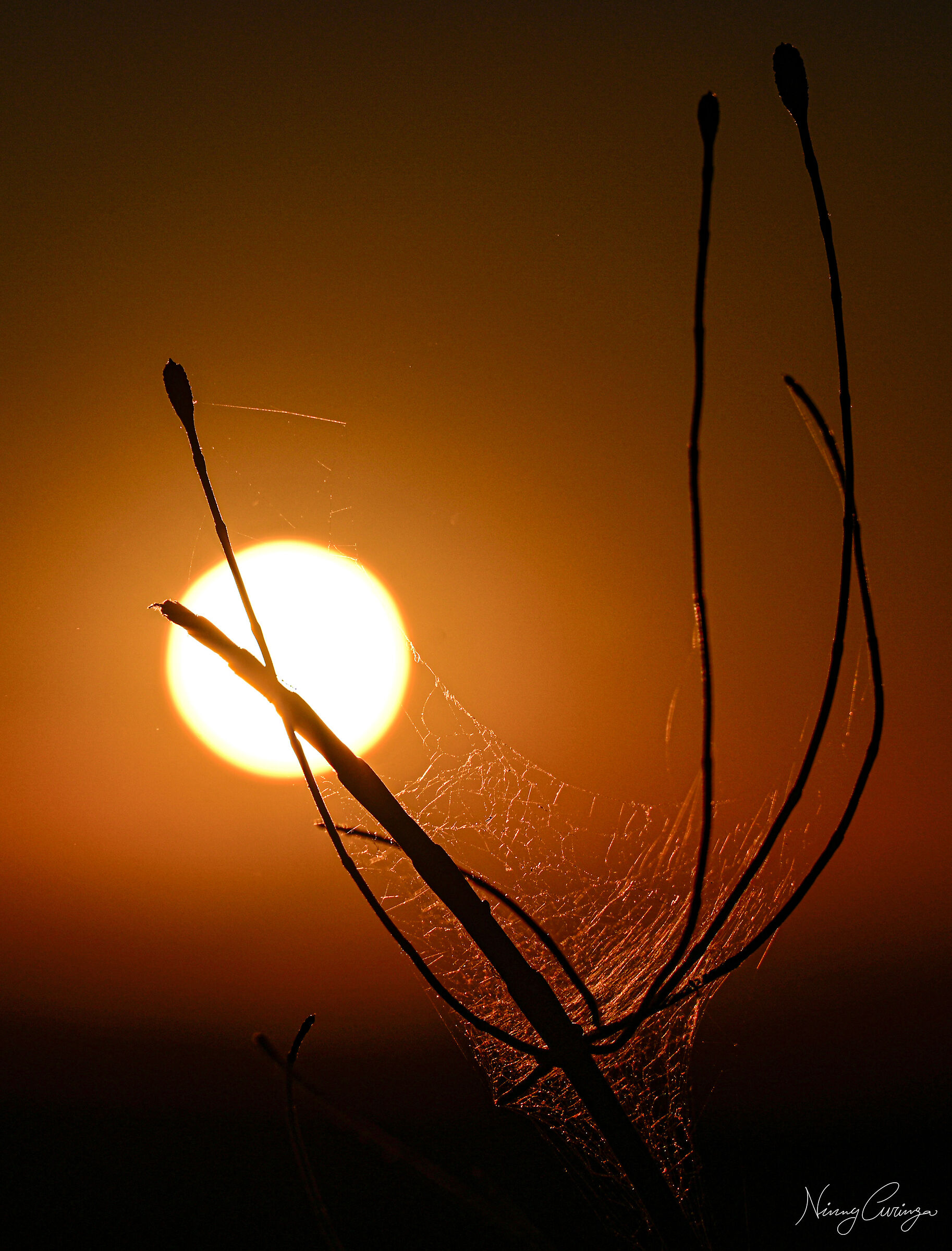 Golden Hour in Calabria suffocating from the heat