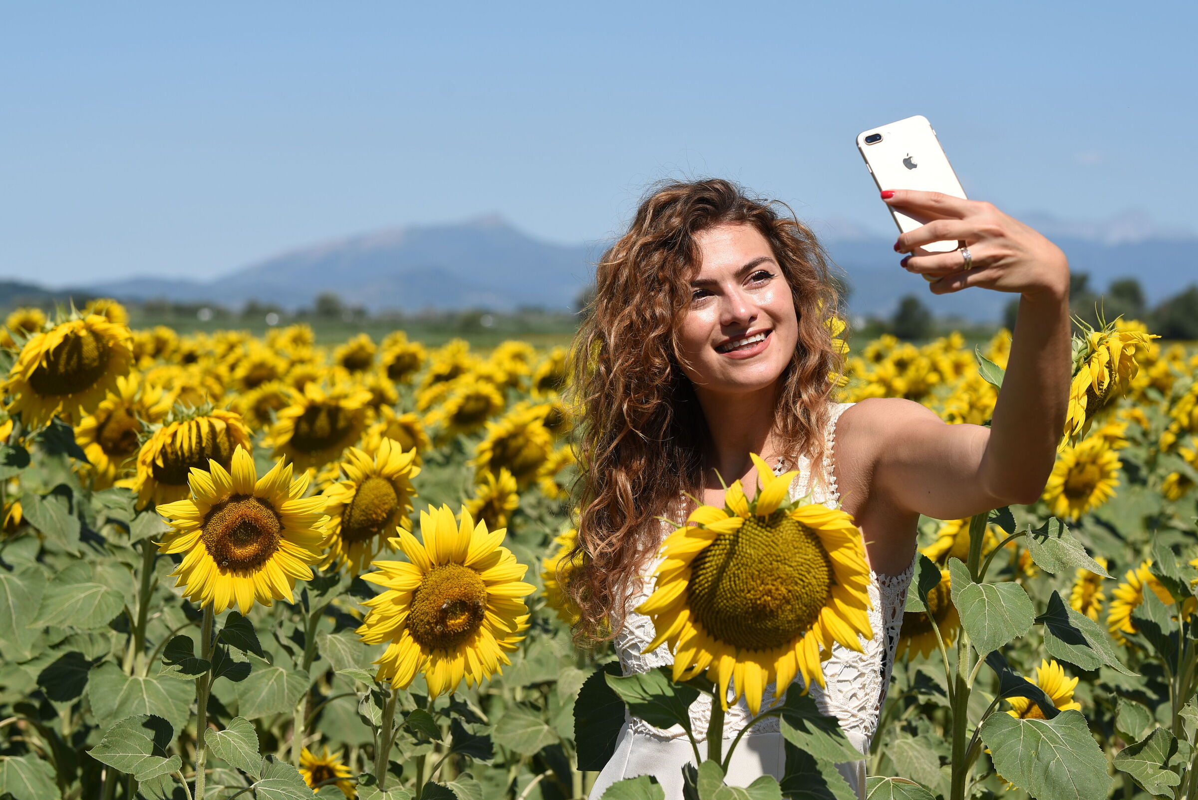 2 - Deby and his sunflower friends