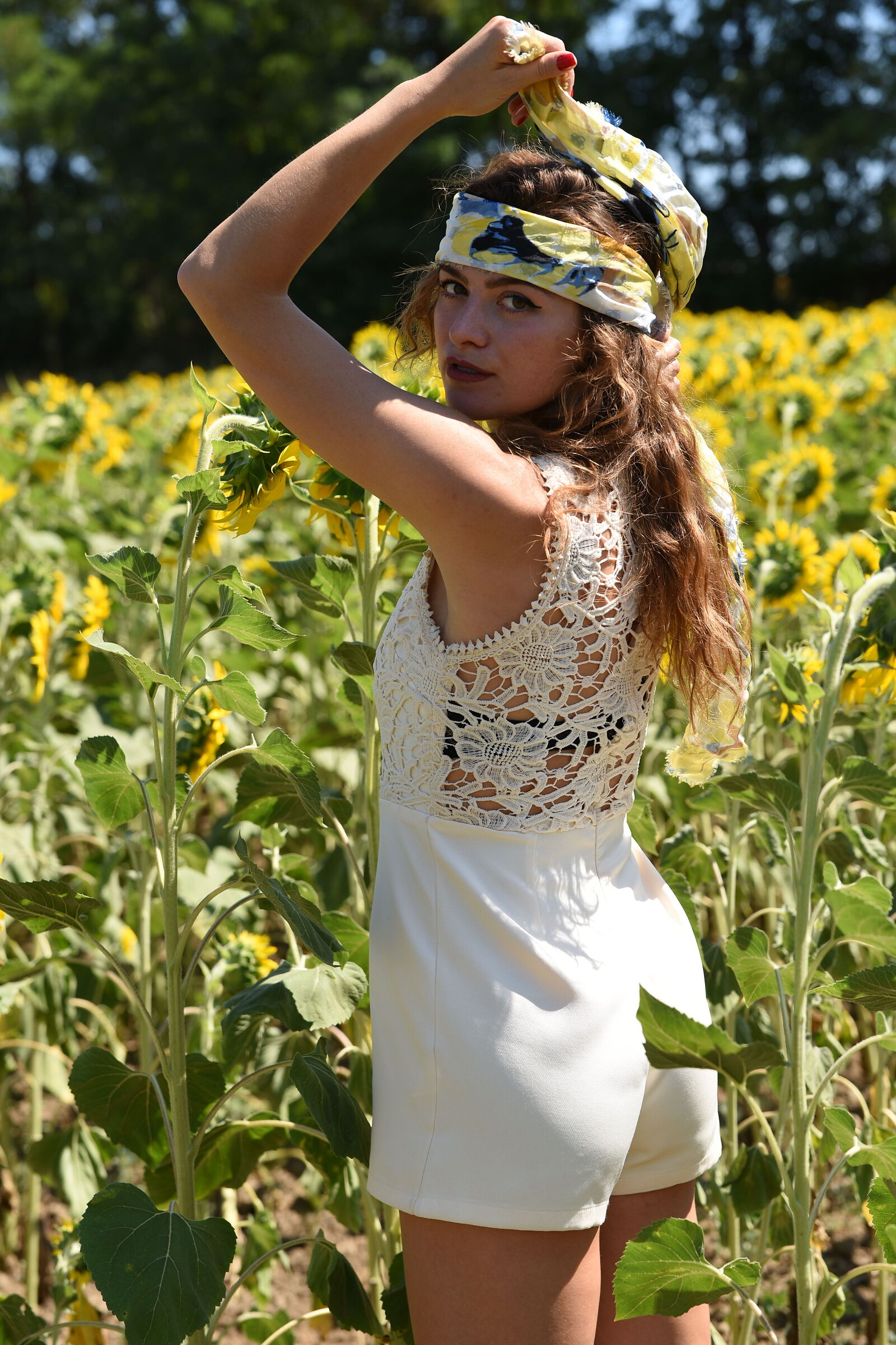 3 - Deby and his sunflower friends