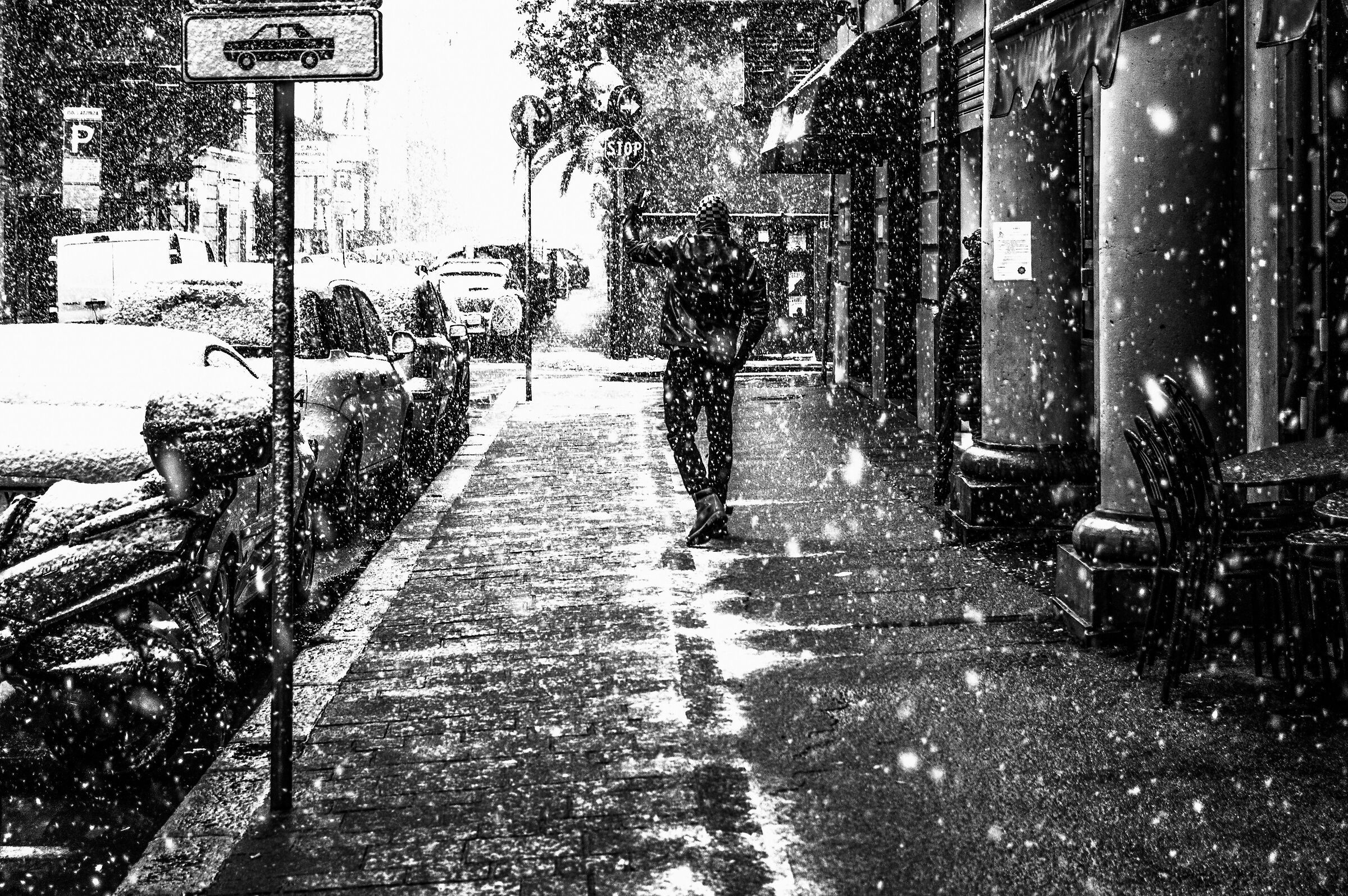 Snowfall in the suburbs