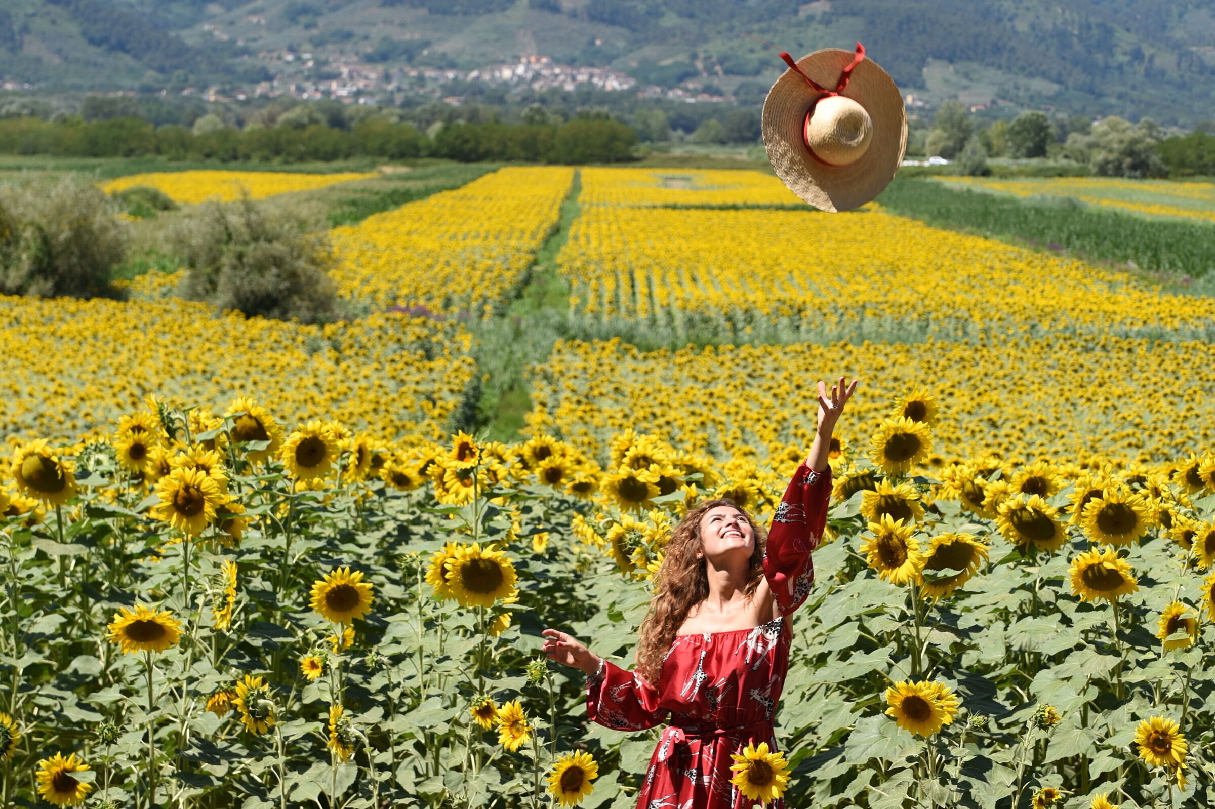 Happiness among sunflowers