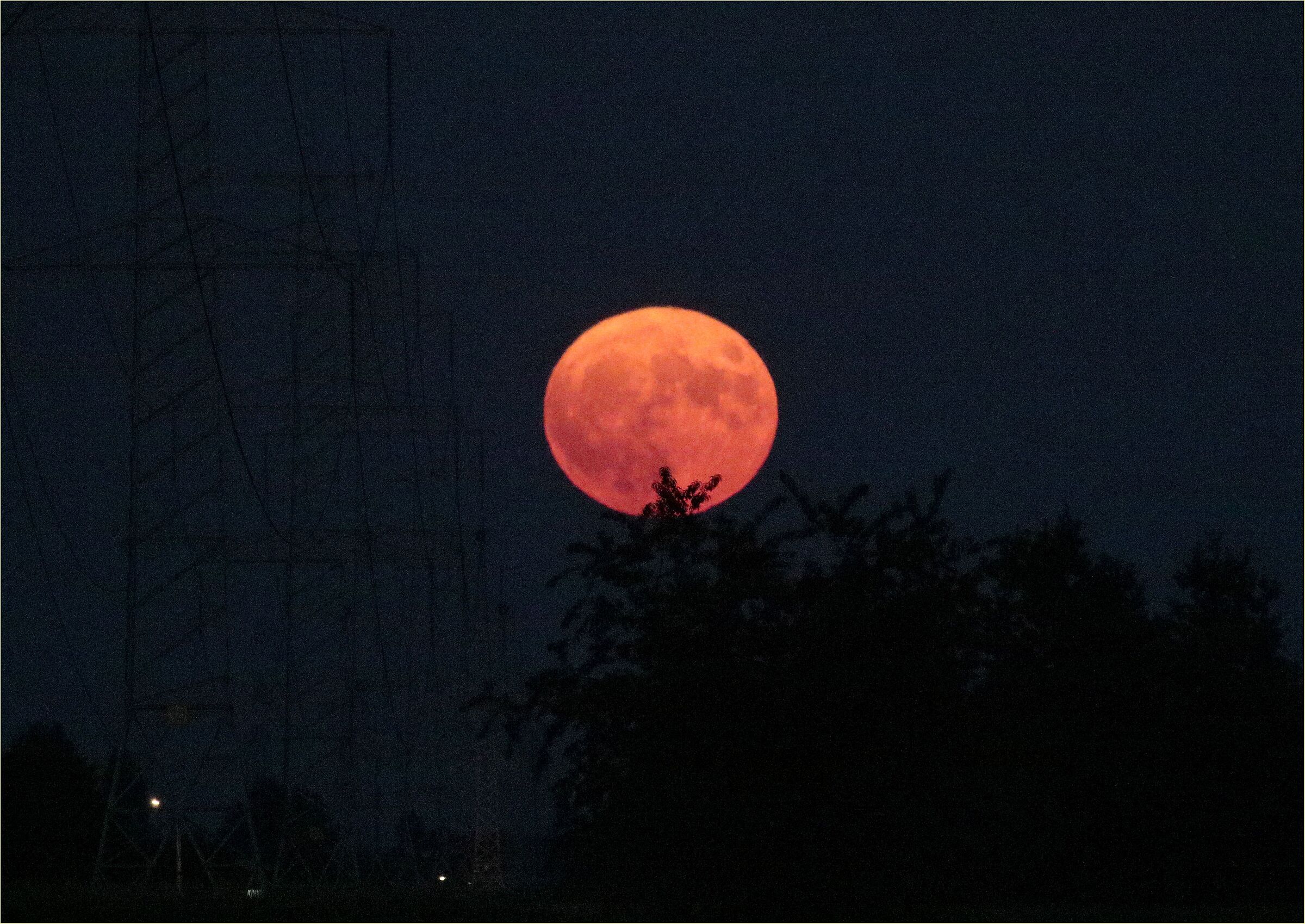 '' superMoon of the Deer ''