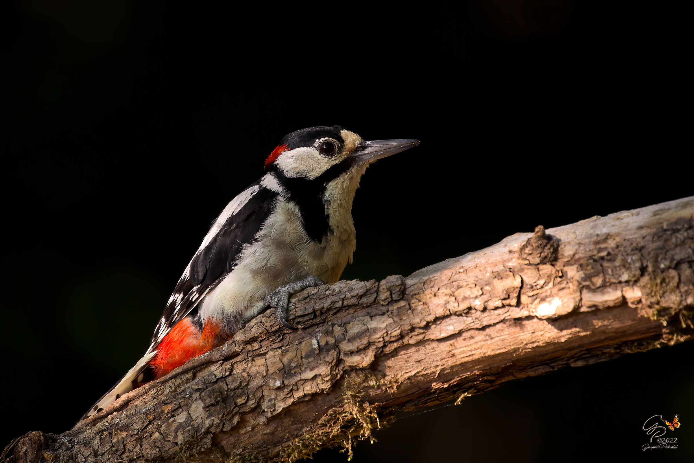 Un raggio di luce....