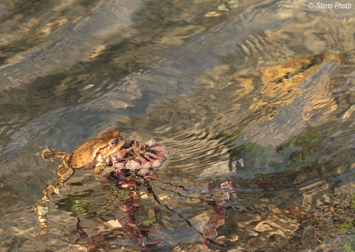 a moment of relaxation