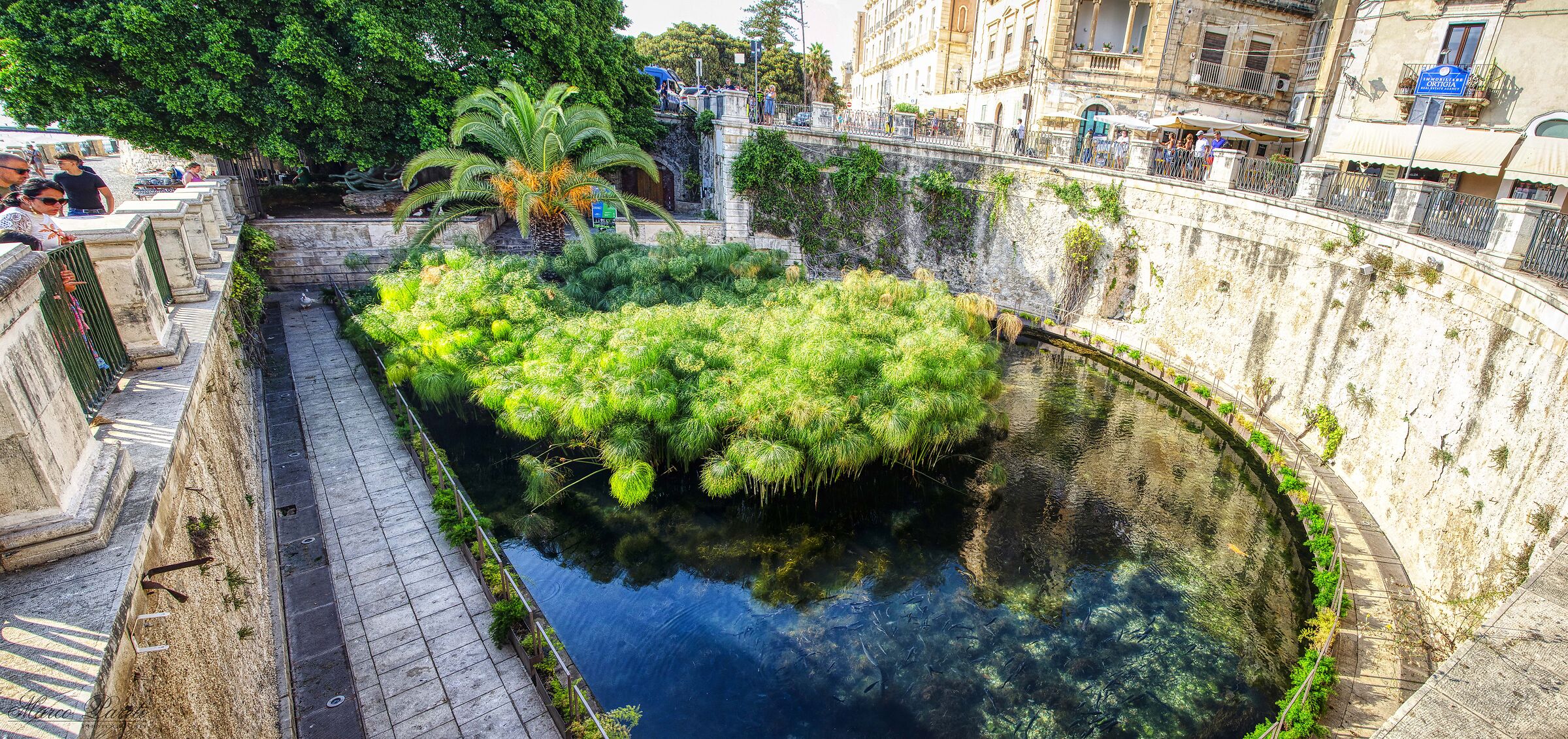 Siracusa - Fonte Aretusa