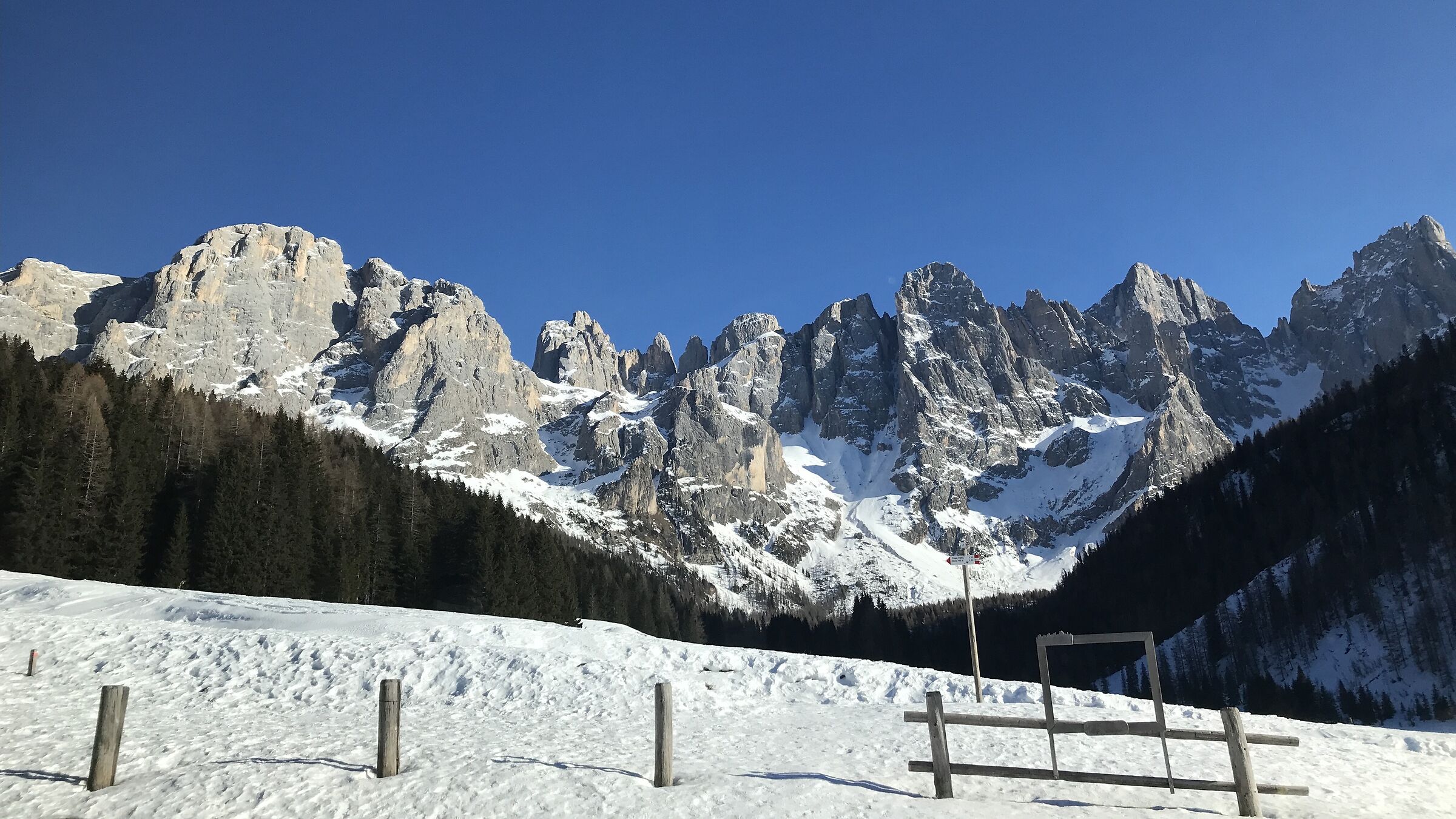 Pale of San Martino