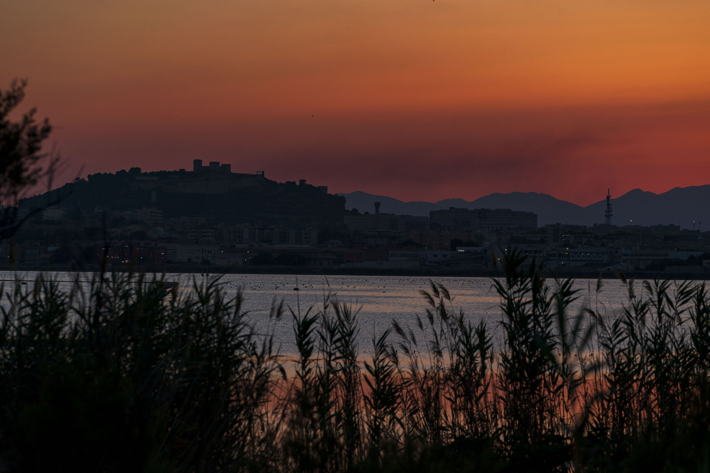 Tramonto a Molentargius