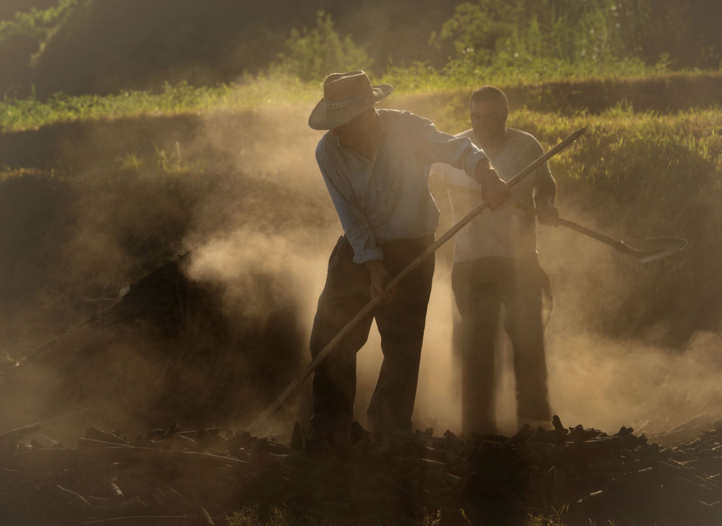 Genesis of a Charcoal Burner