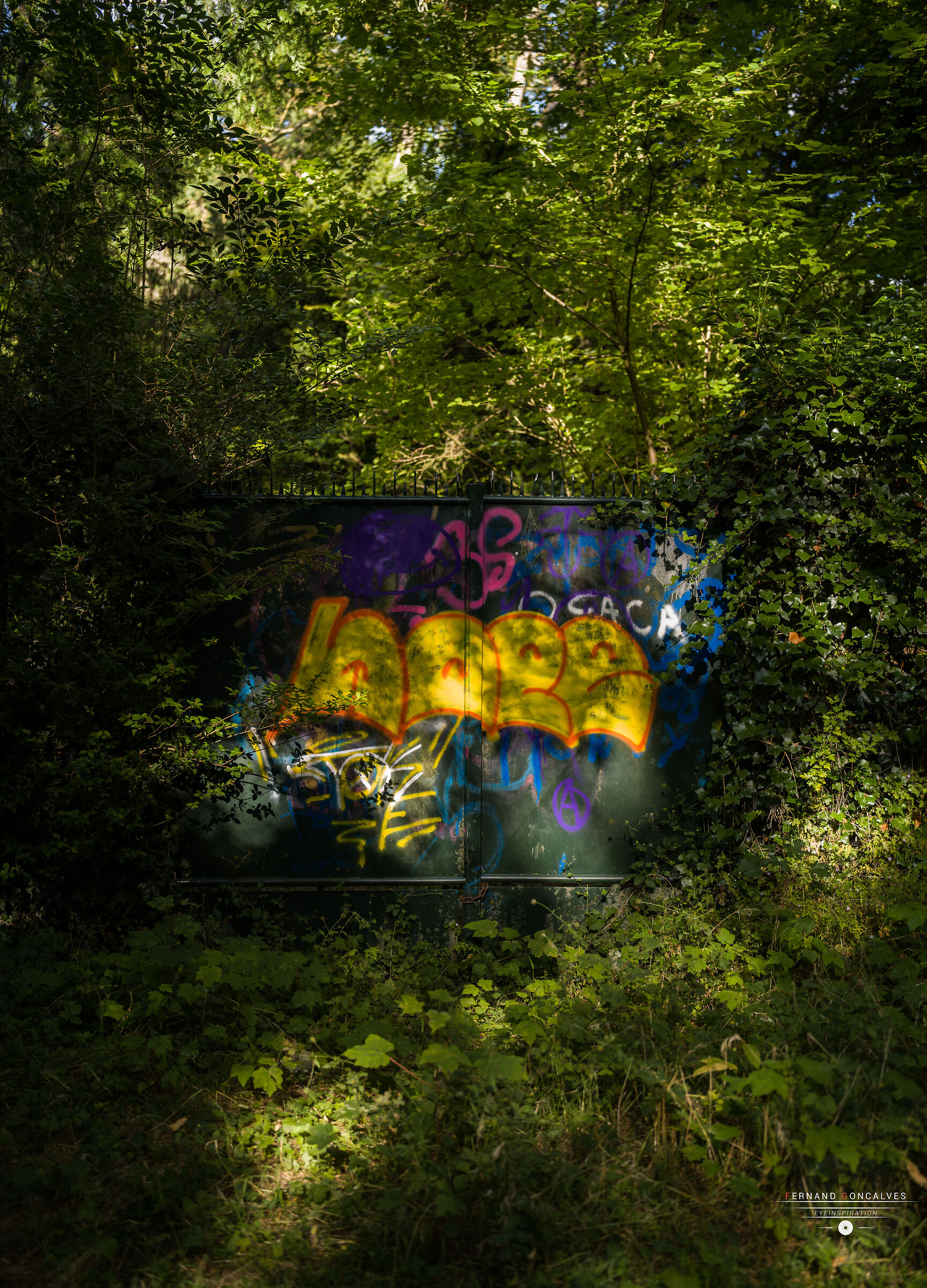 Parc des Grandes Prairies - Arras