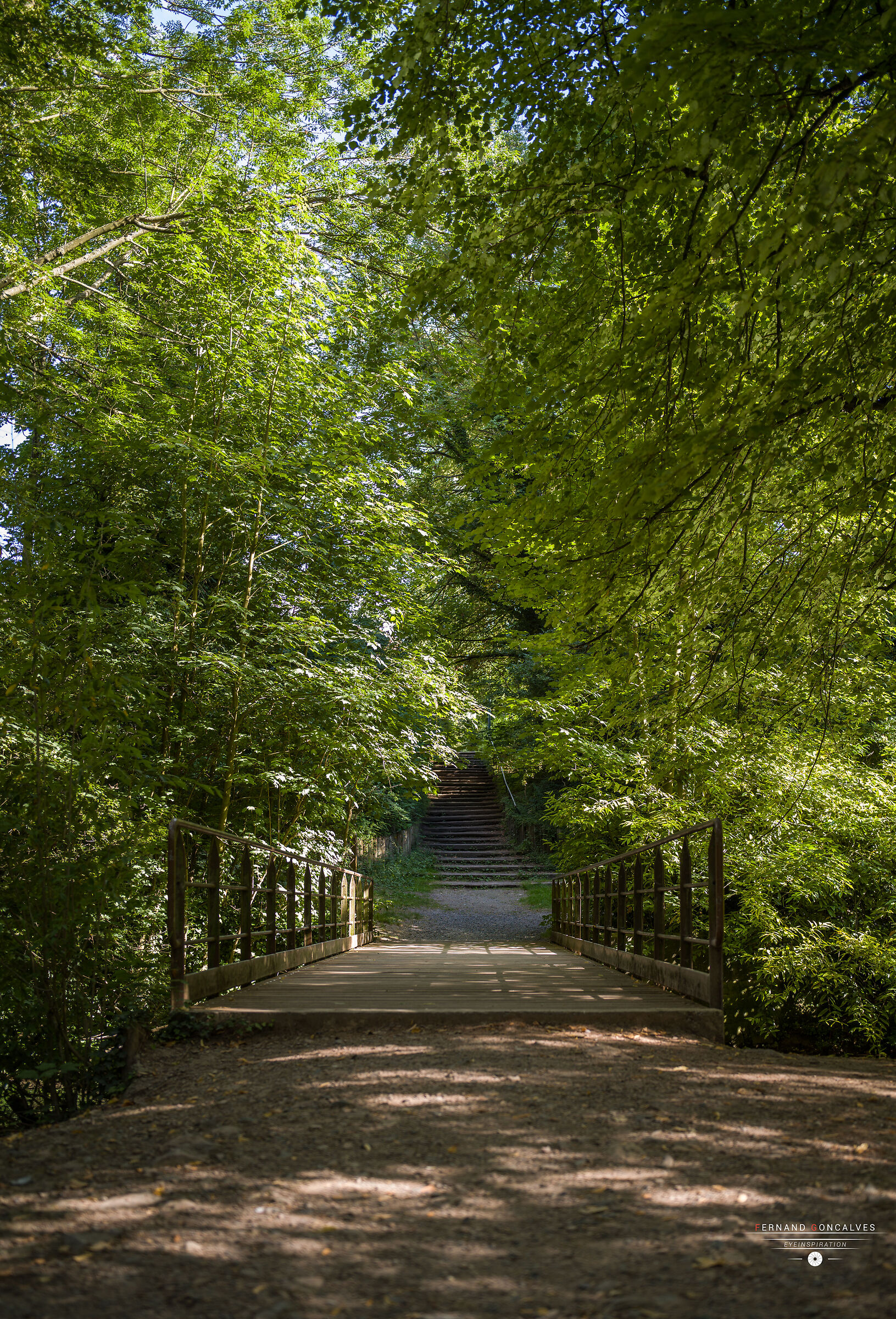 Parc Des Grandes Prairies - Arras