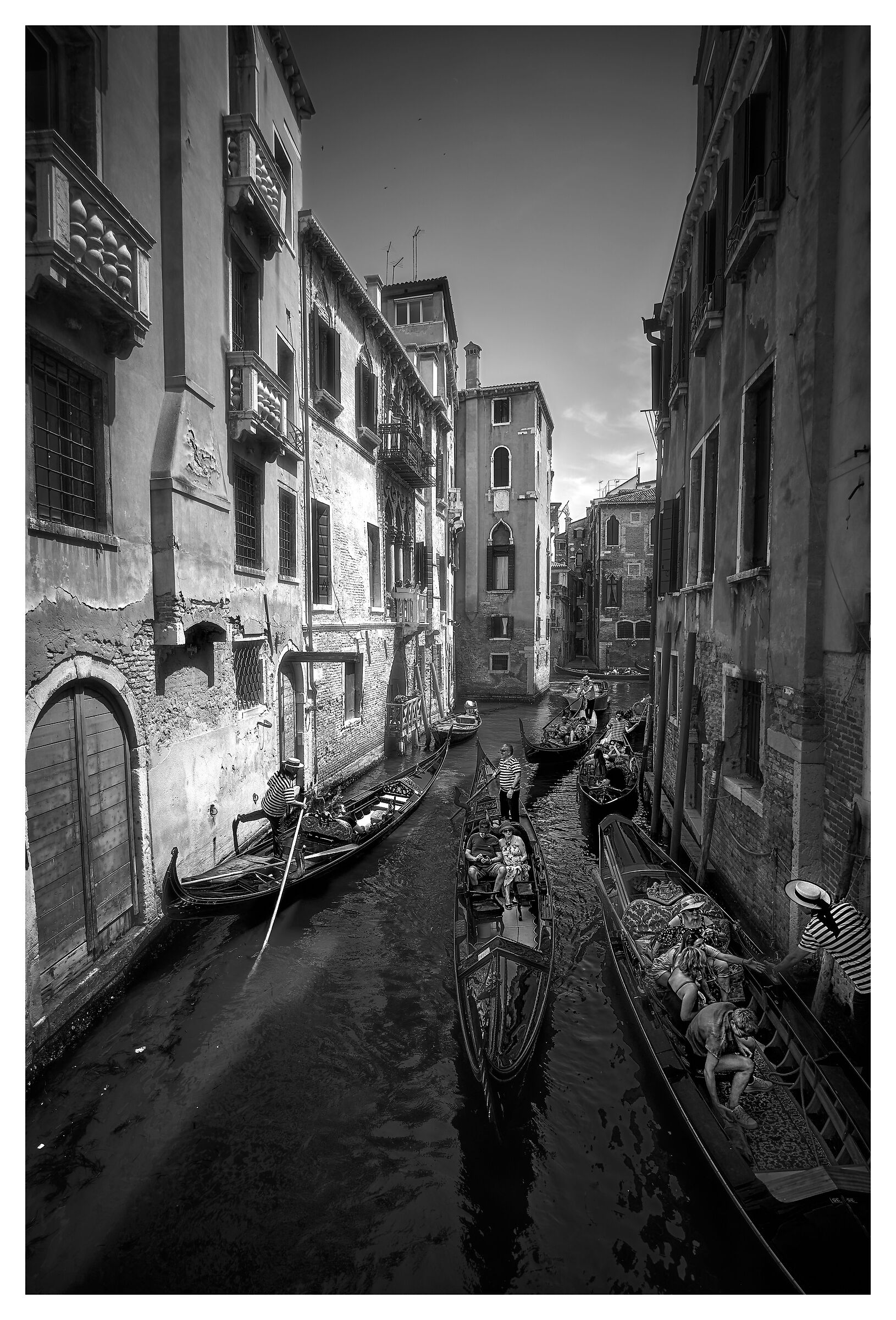 Venice bn