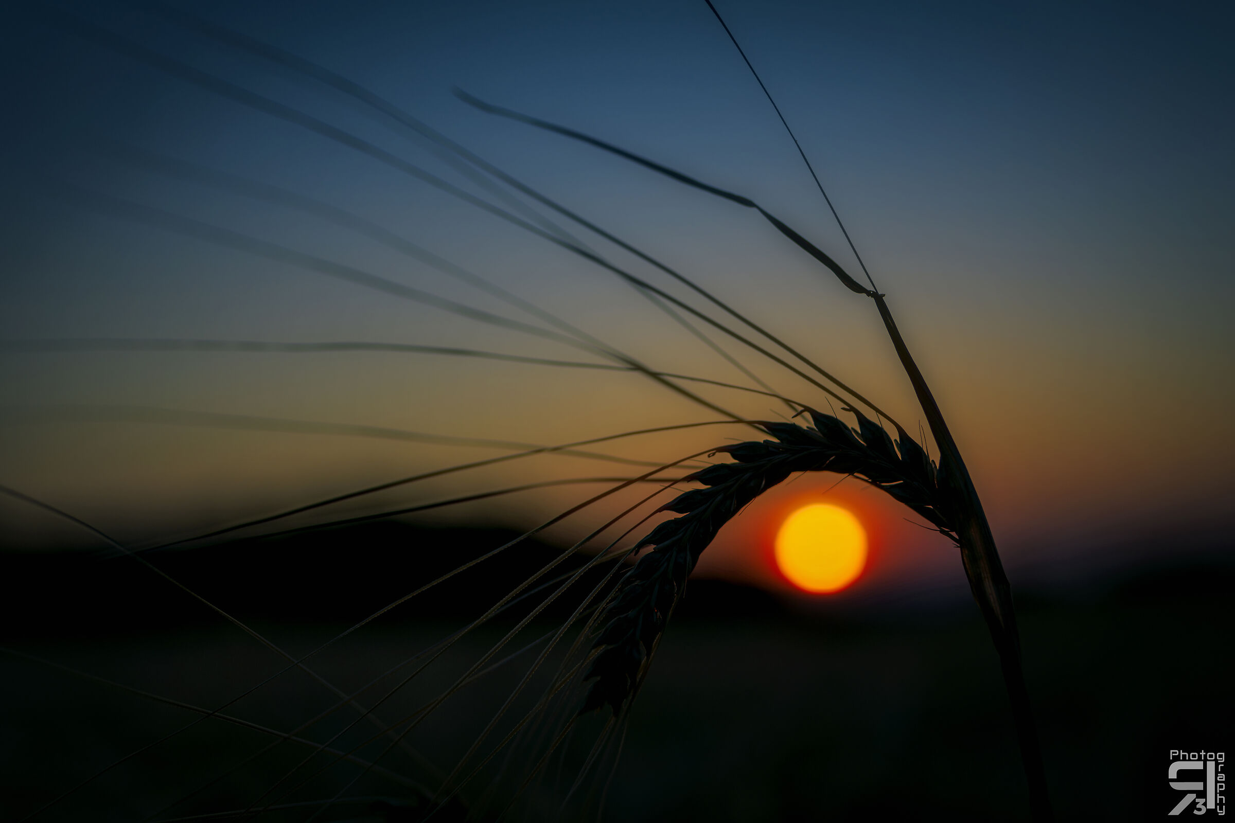 An eye on the sunset