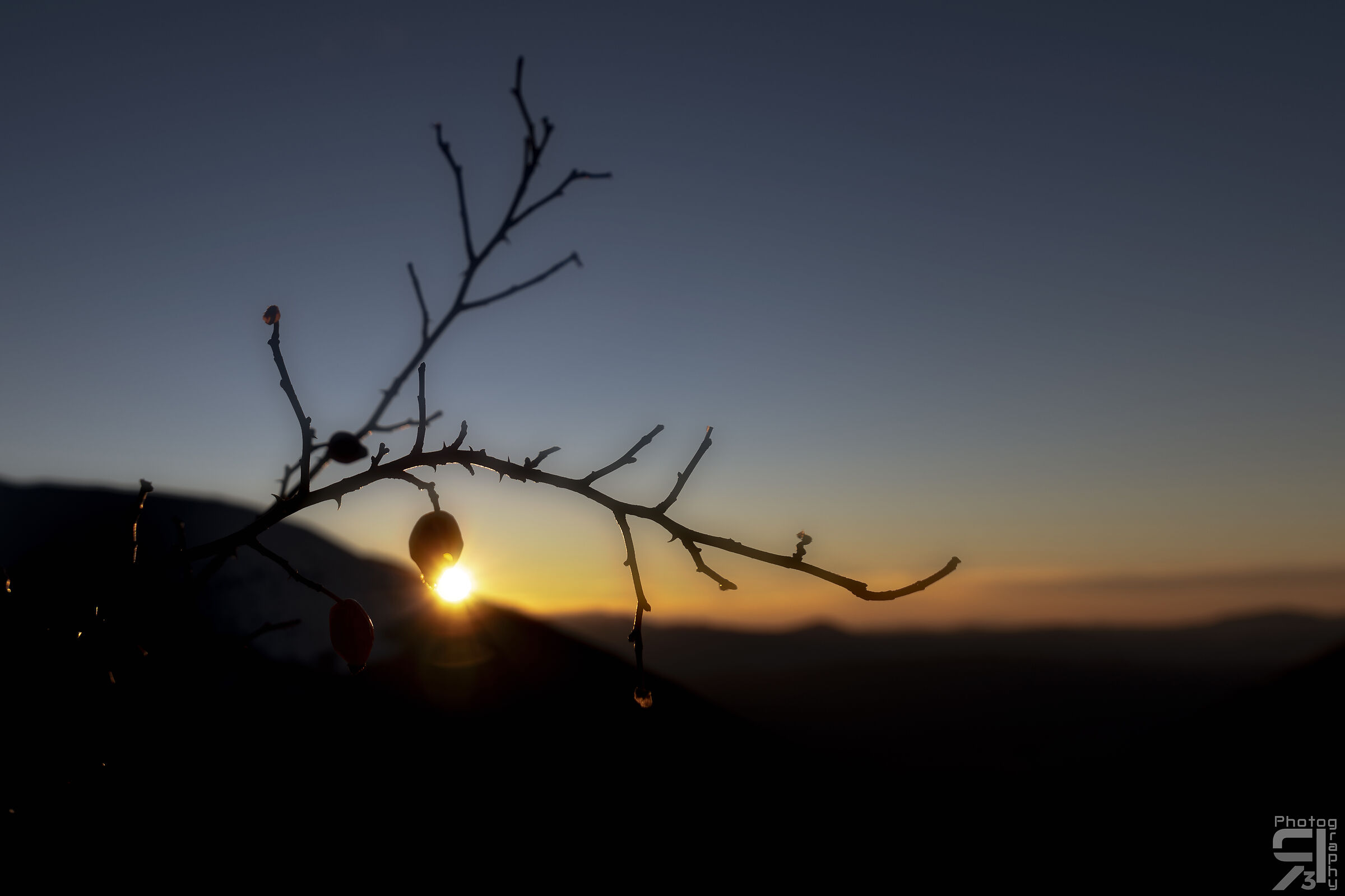 Sunset at dog red