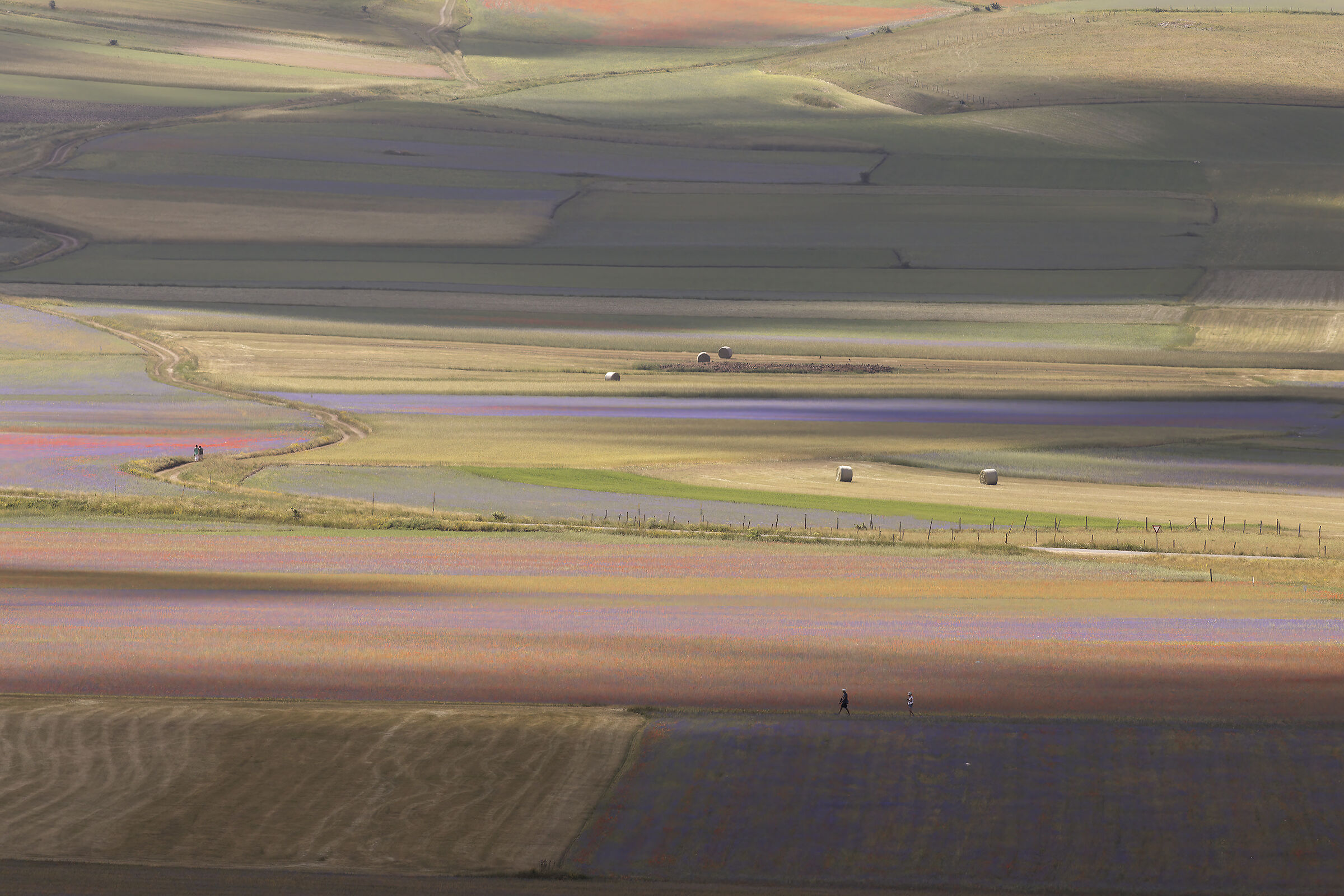 luci ed ombre sulla piana