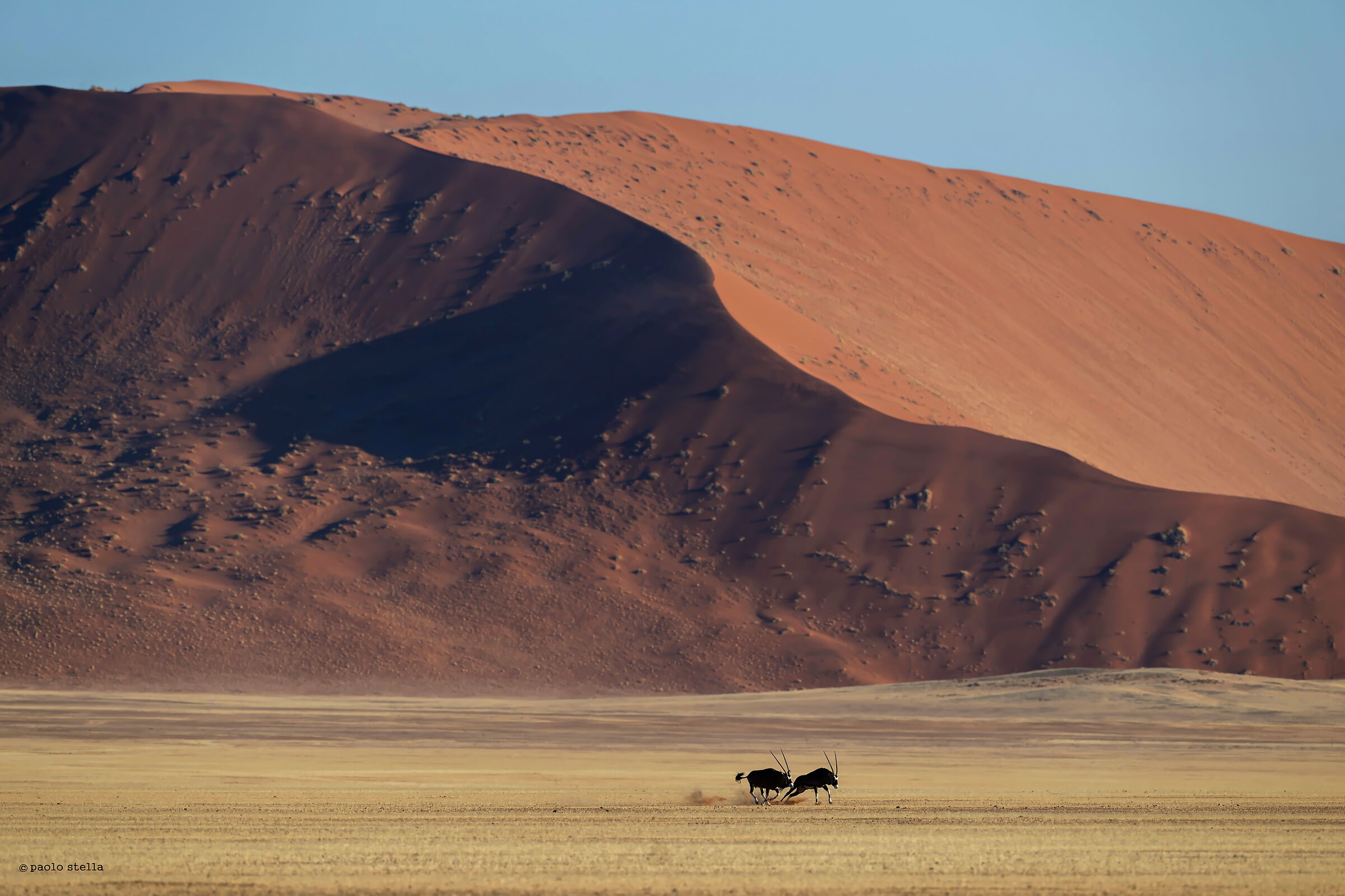 running Oryx