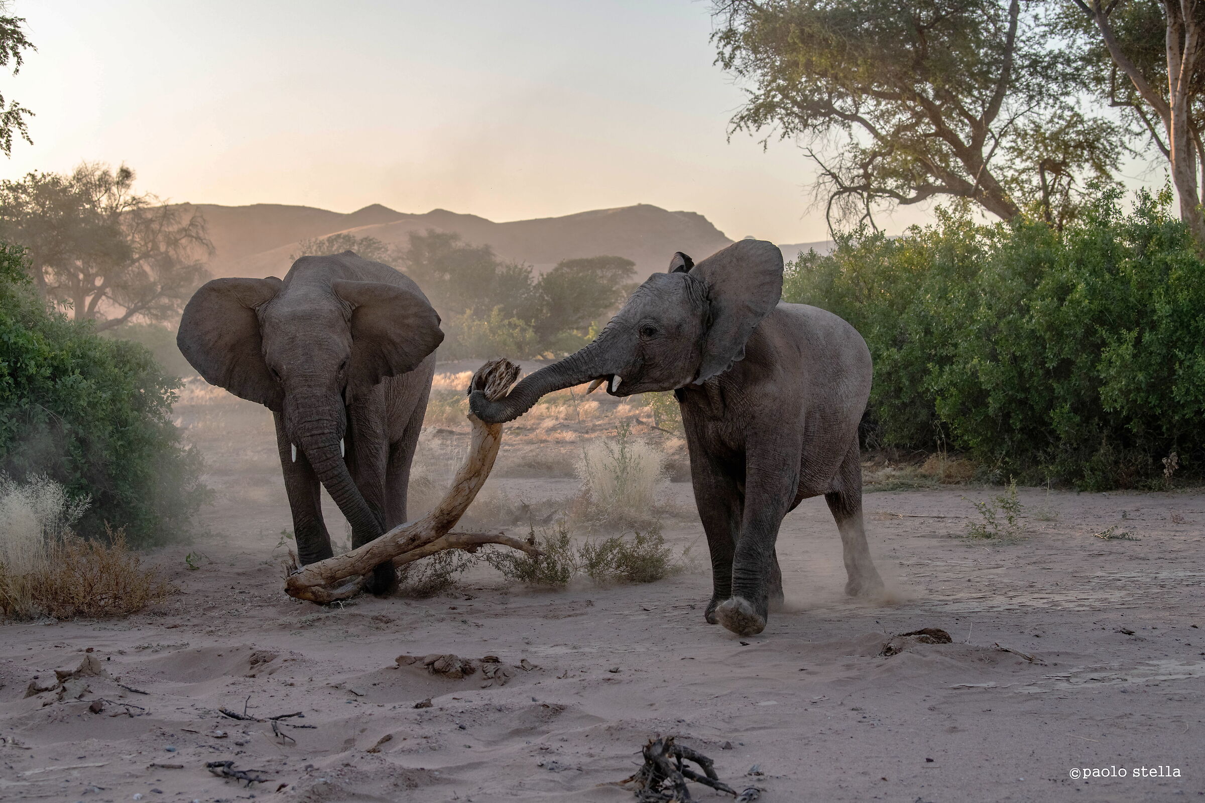 the game of young people