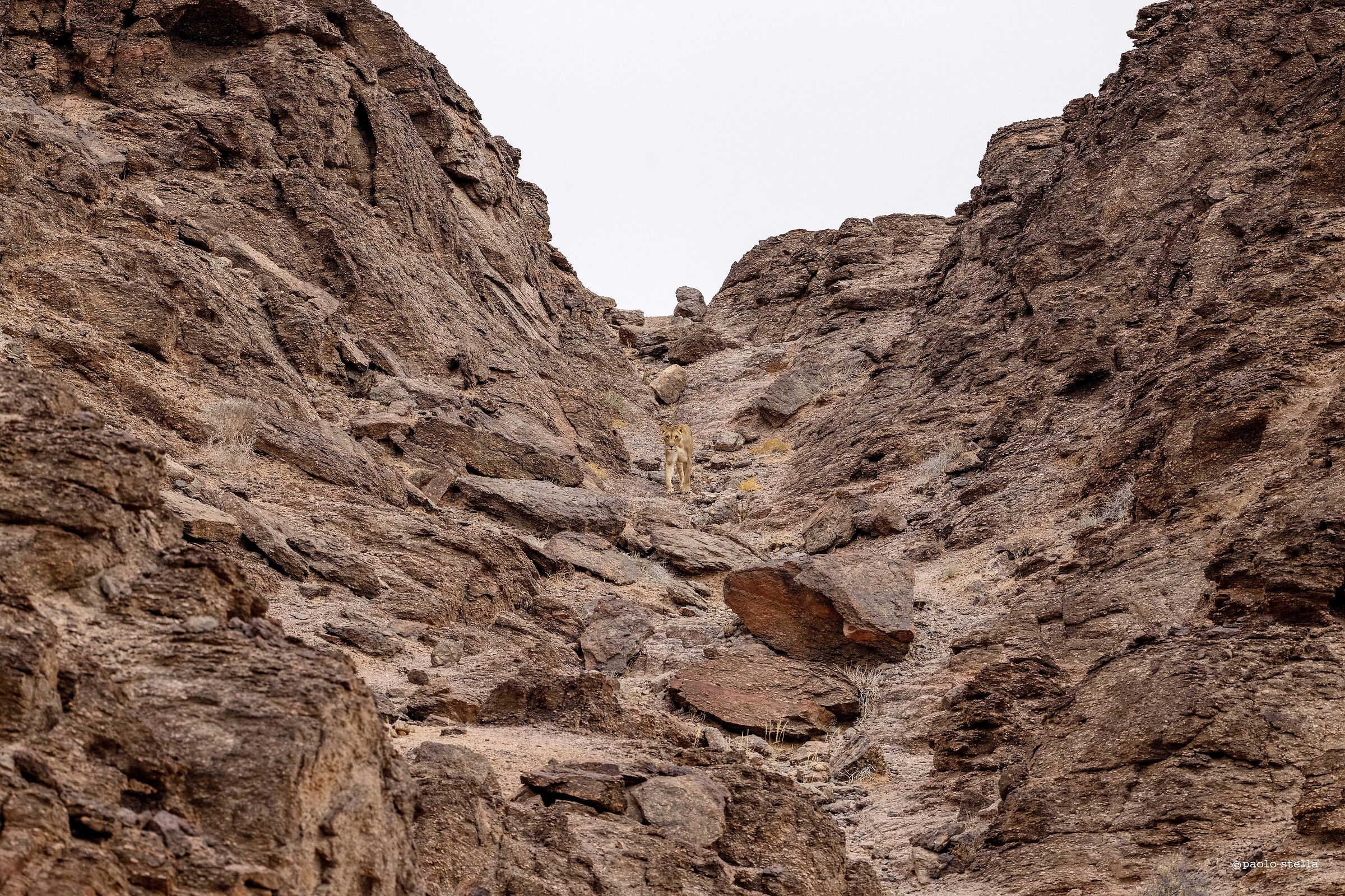 giù nel canyon
