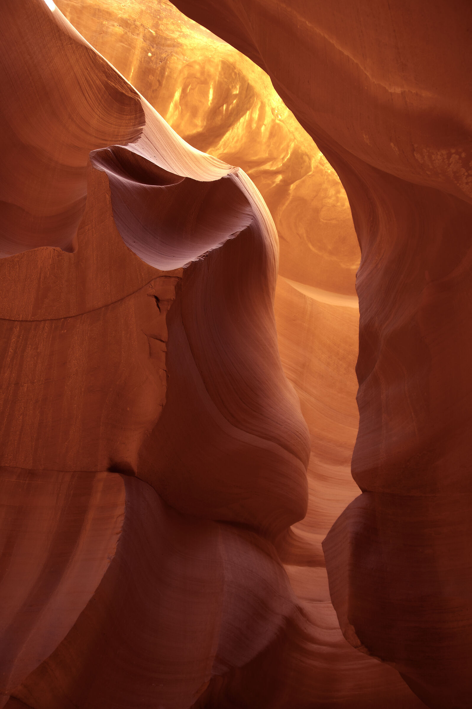 Lower Antelope