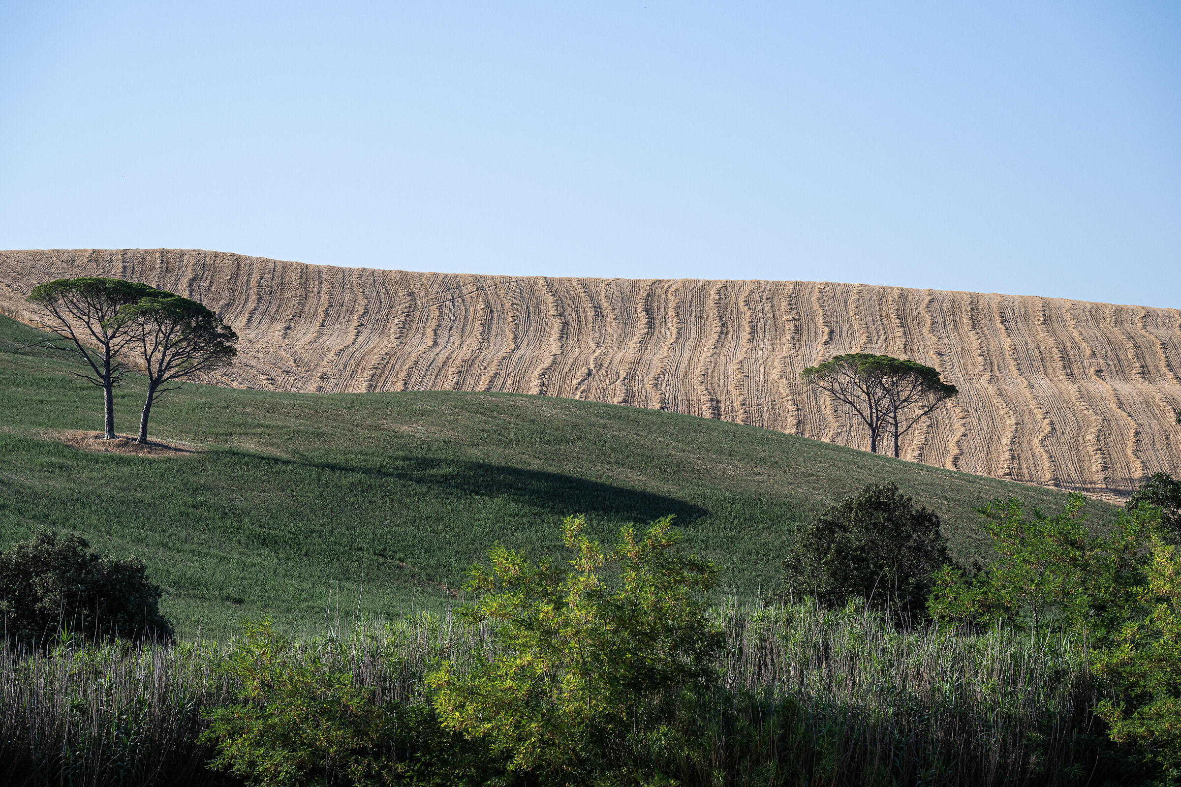 Santa Luce (PI) 17 July 2022