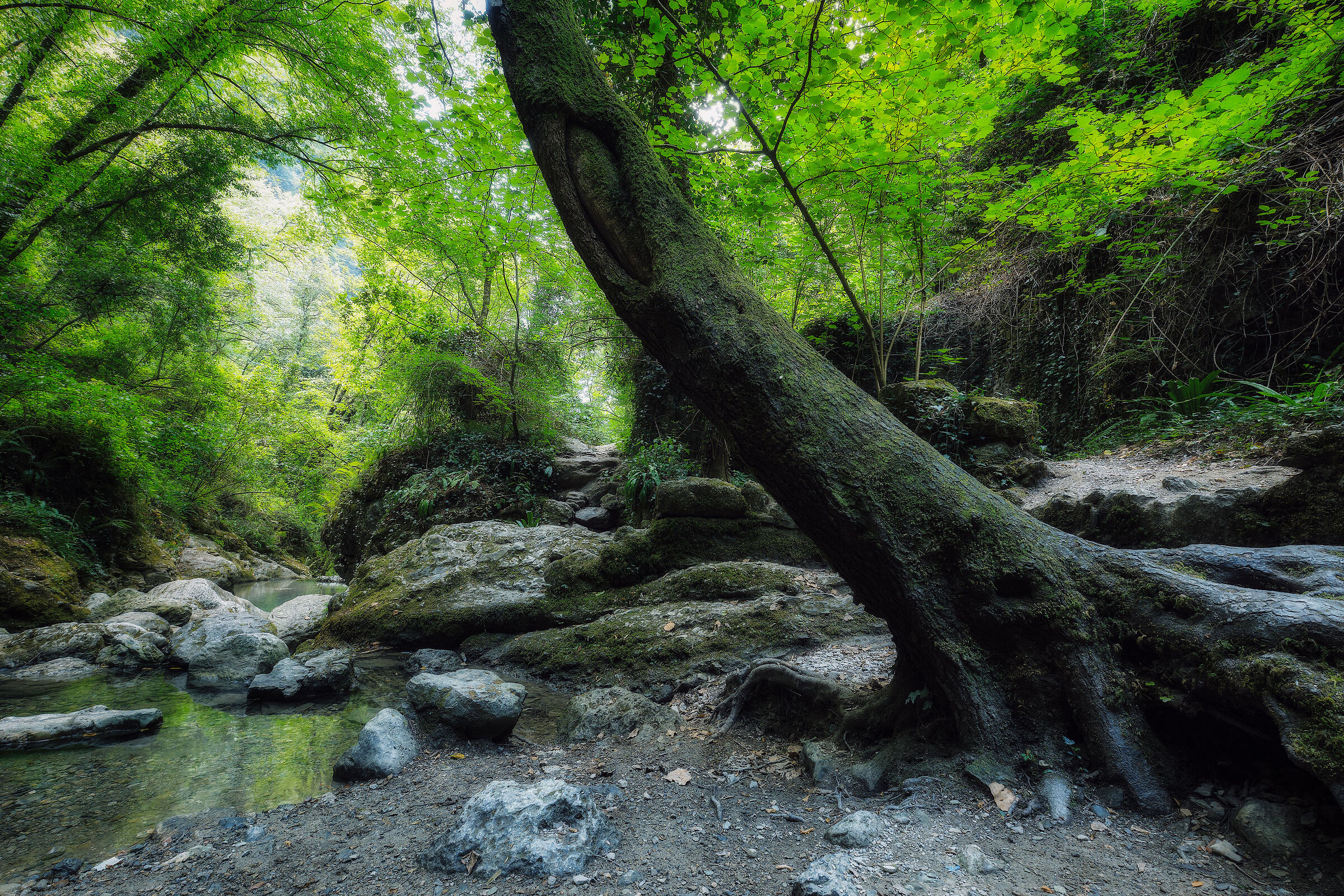 Candalla (LU) - Italy