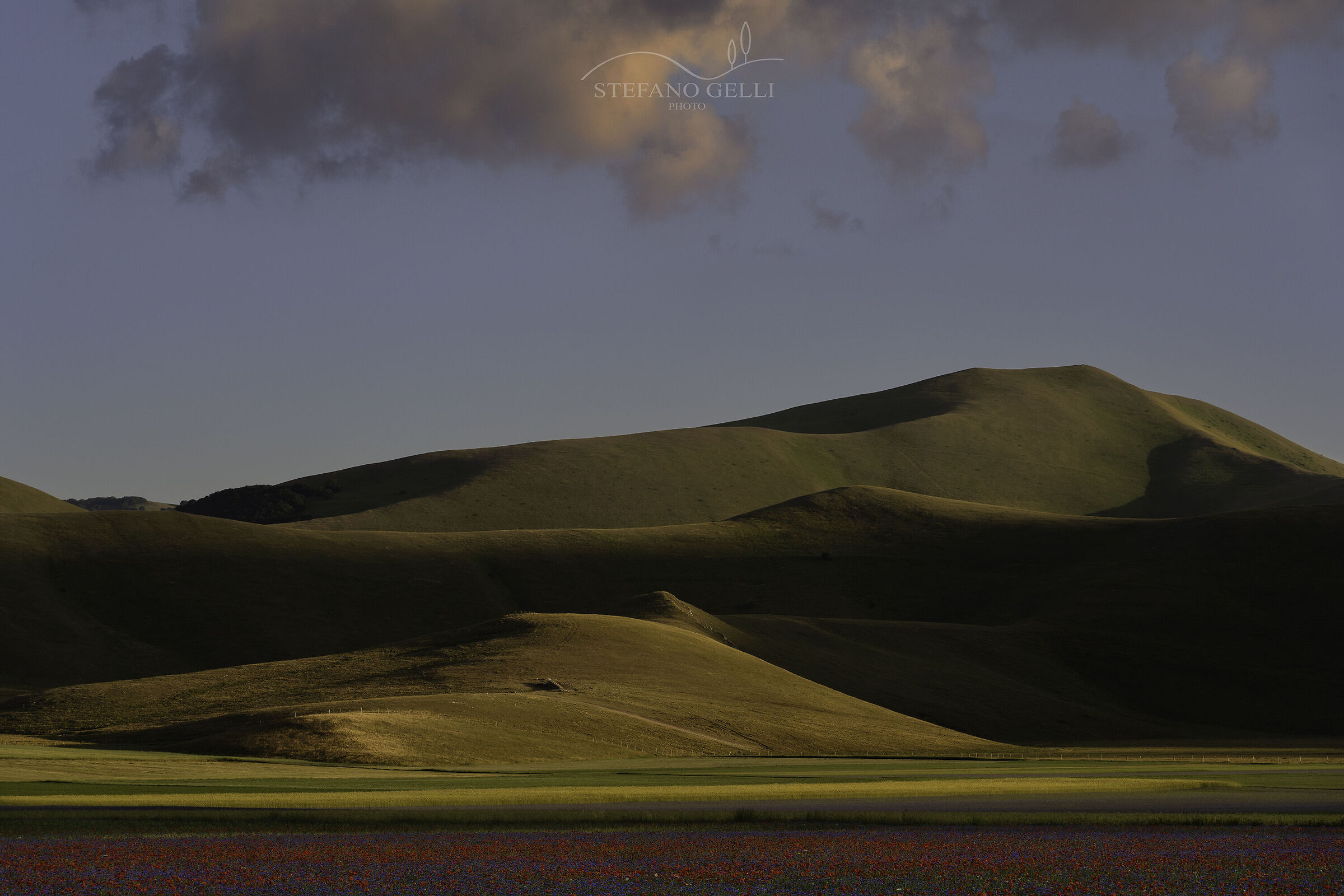Piana di Castelluccio