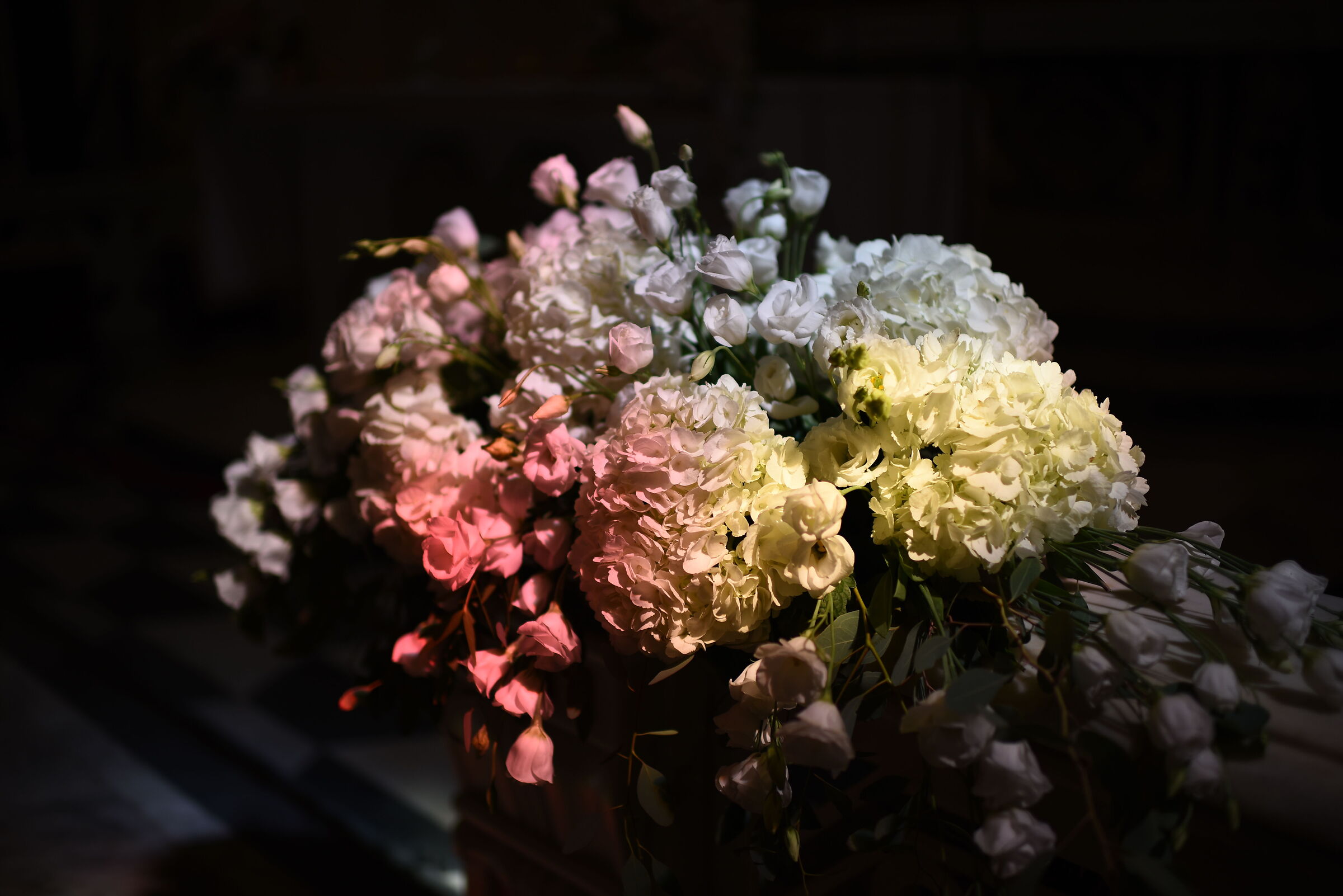 F. 1.4, Otus Zeiss 28, 1.4- Nikon D 750