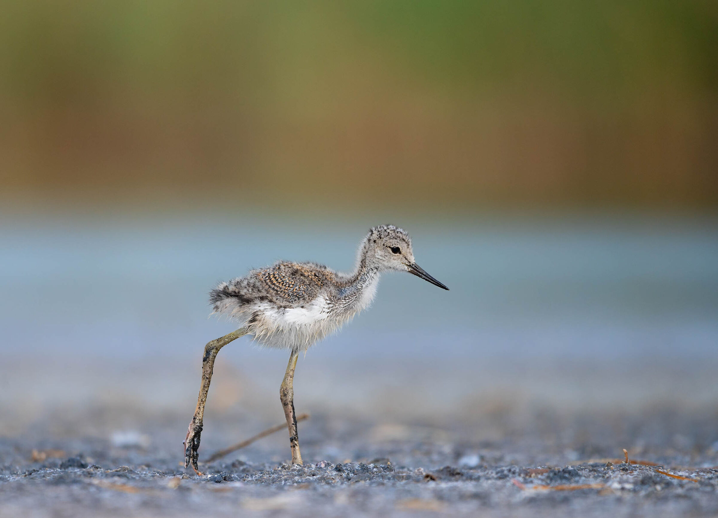 I am heading towards a new life...