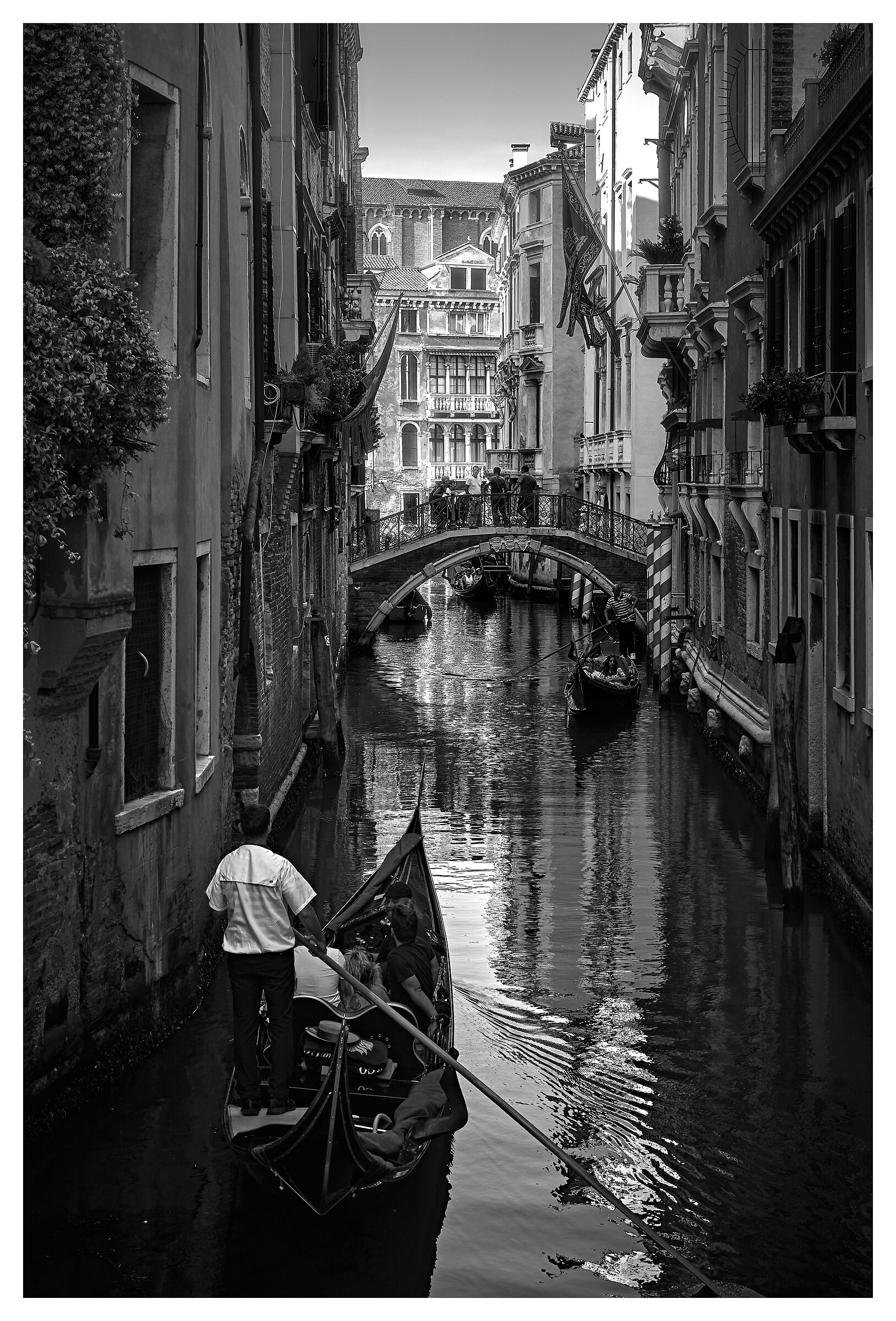 Venice bn
