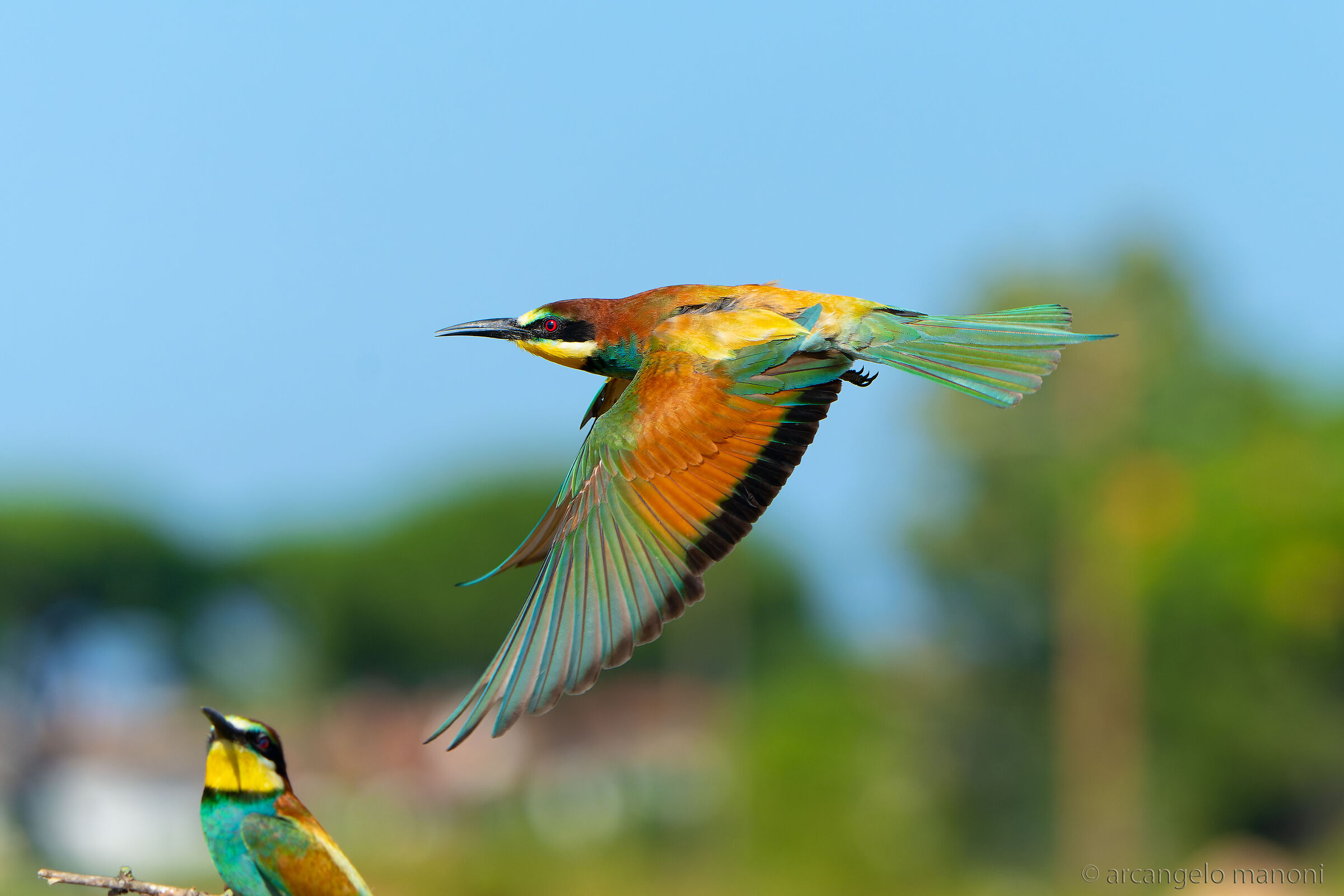 Parking search flight