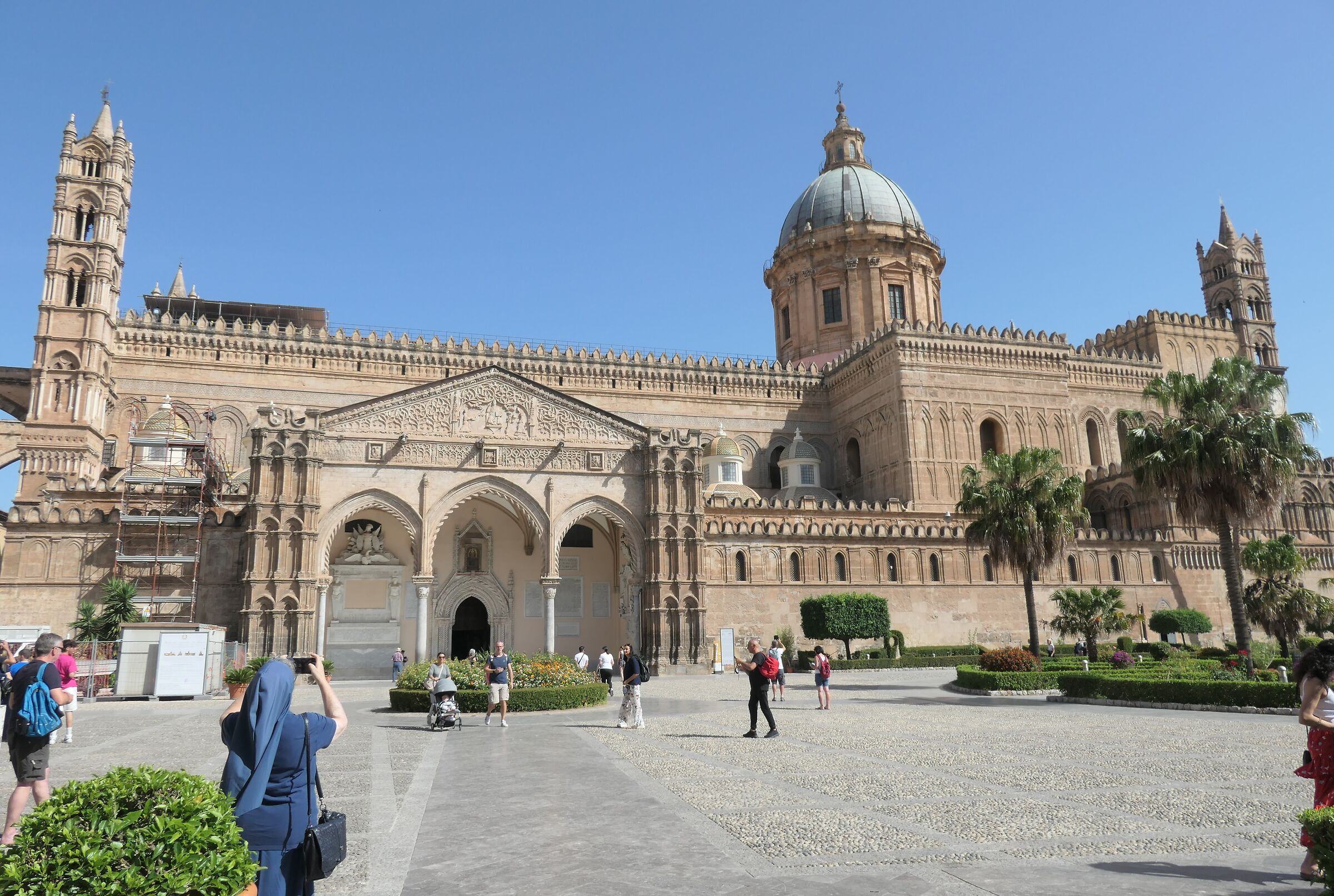 Panormus pulchra. Cathedral II