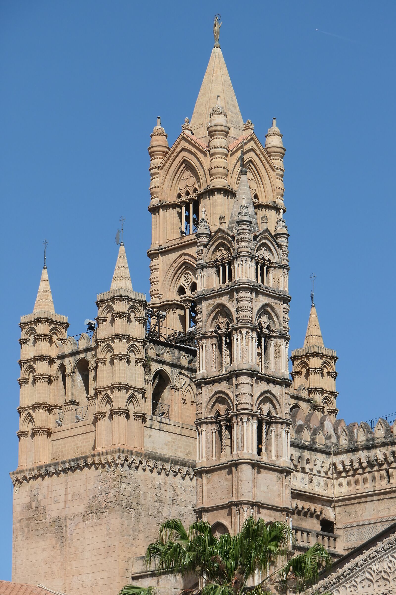 Panormus pulchra. Cathedral I