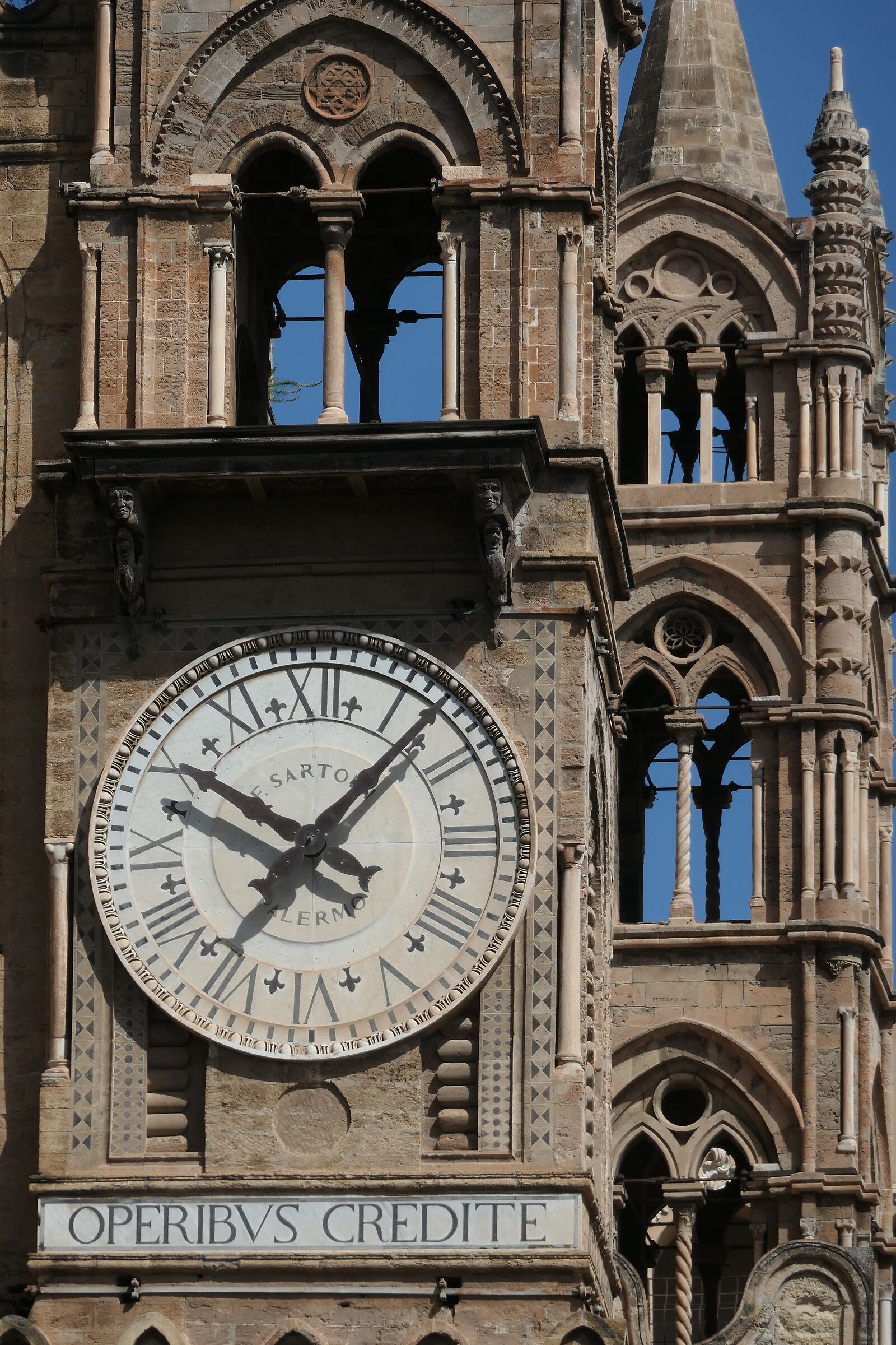 Panormus pulchra. Cathedral III