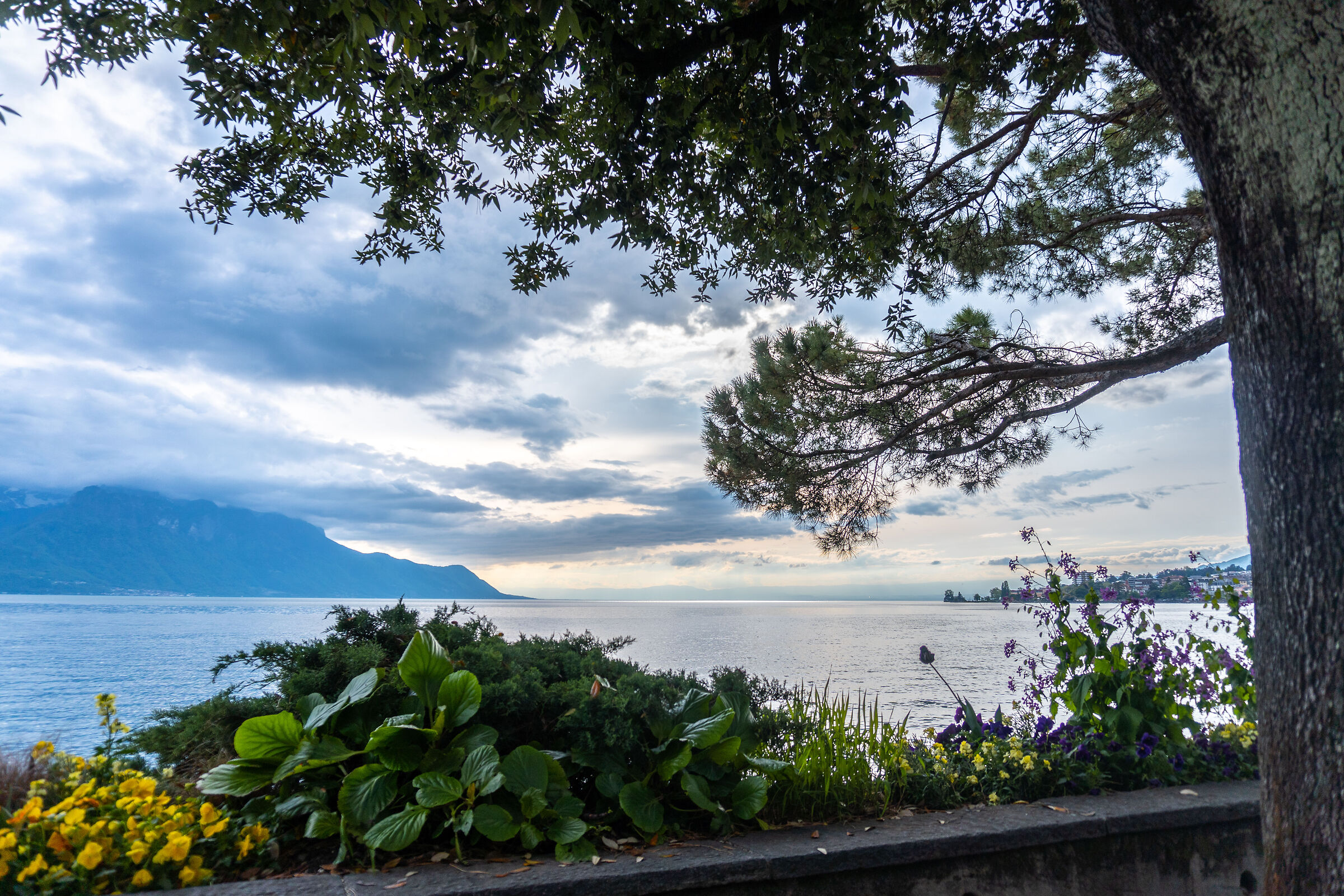 Lake Geneva - Montreux - Switzerland