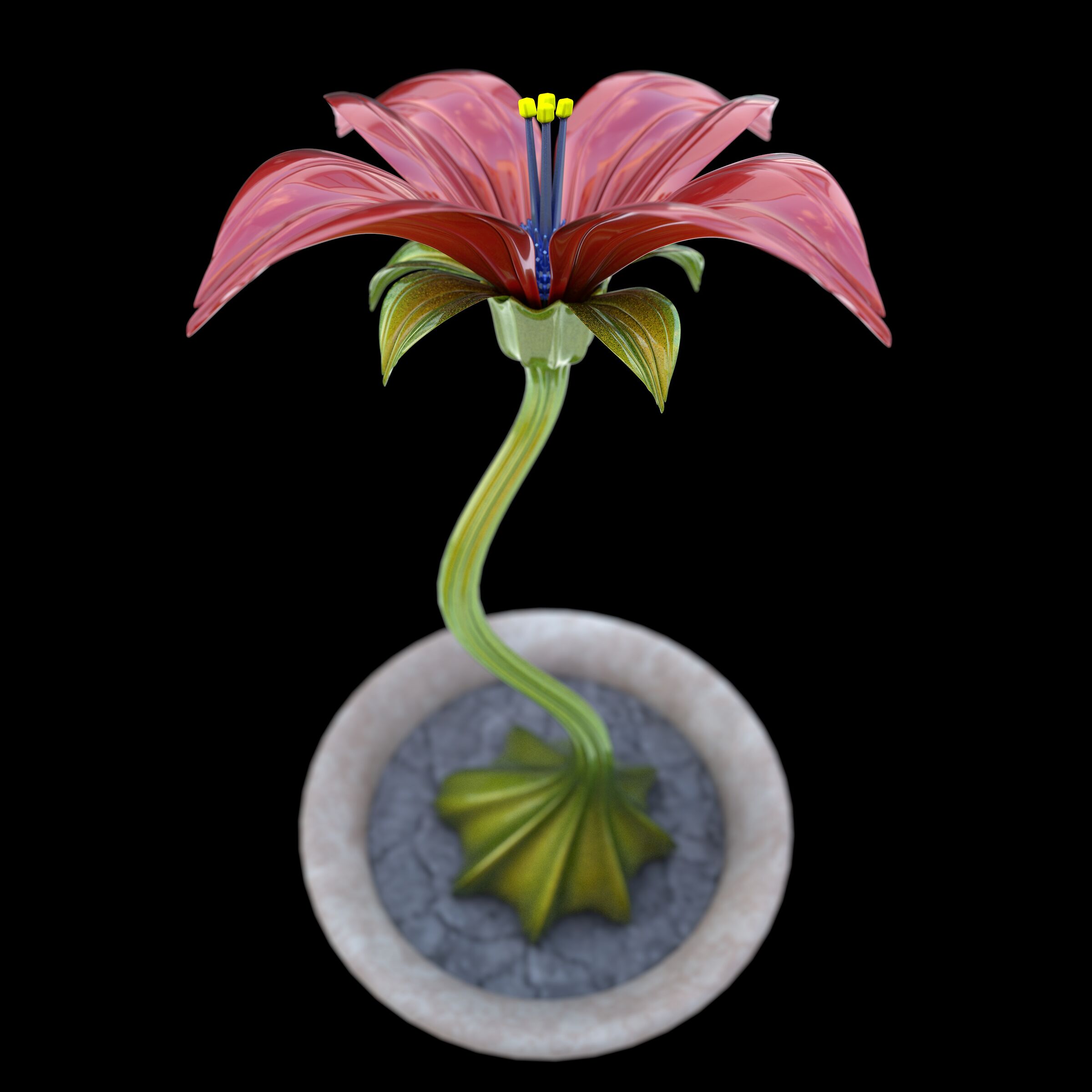 Pandora flower...