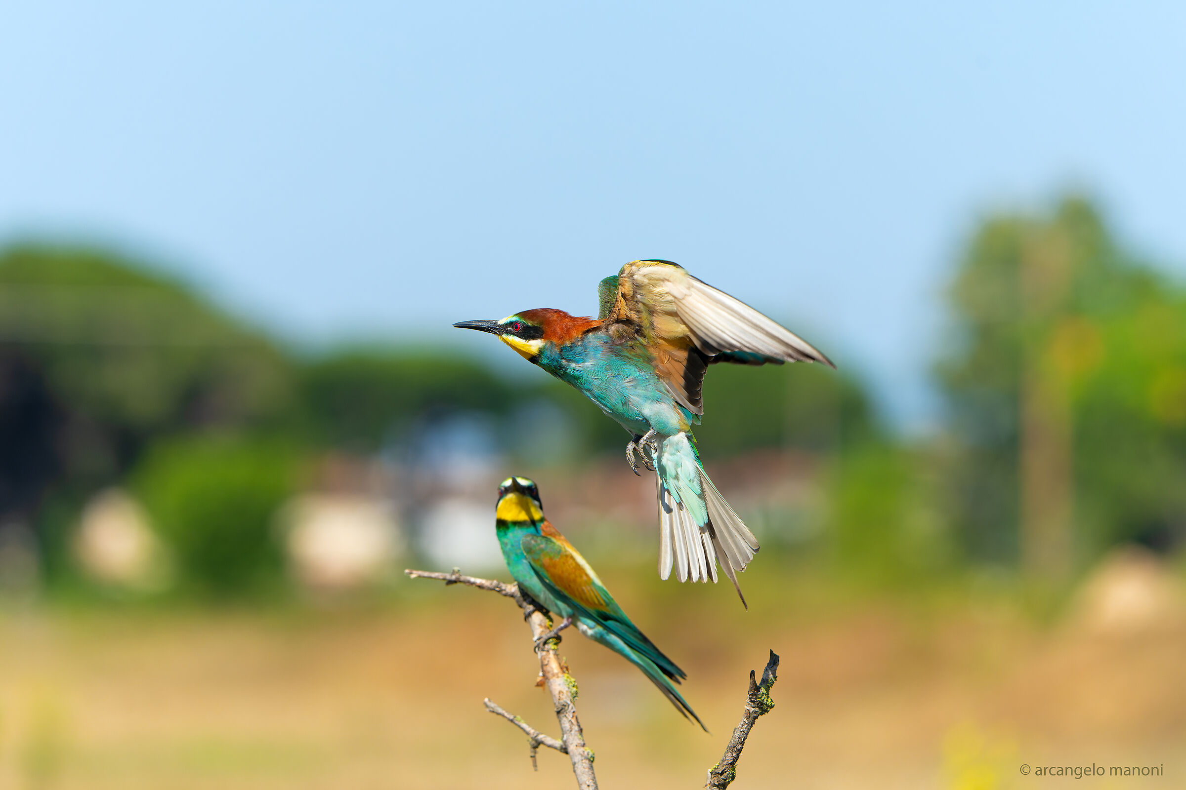 Reconnaissance flight
