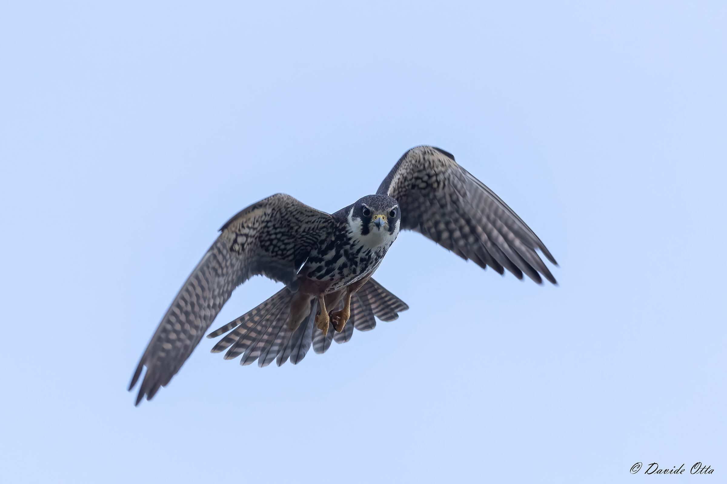 Di fronte a velocità supersoniche