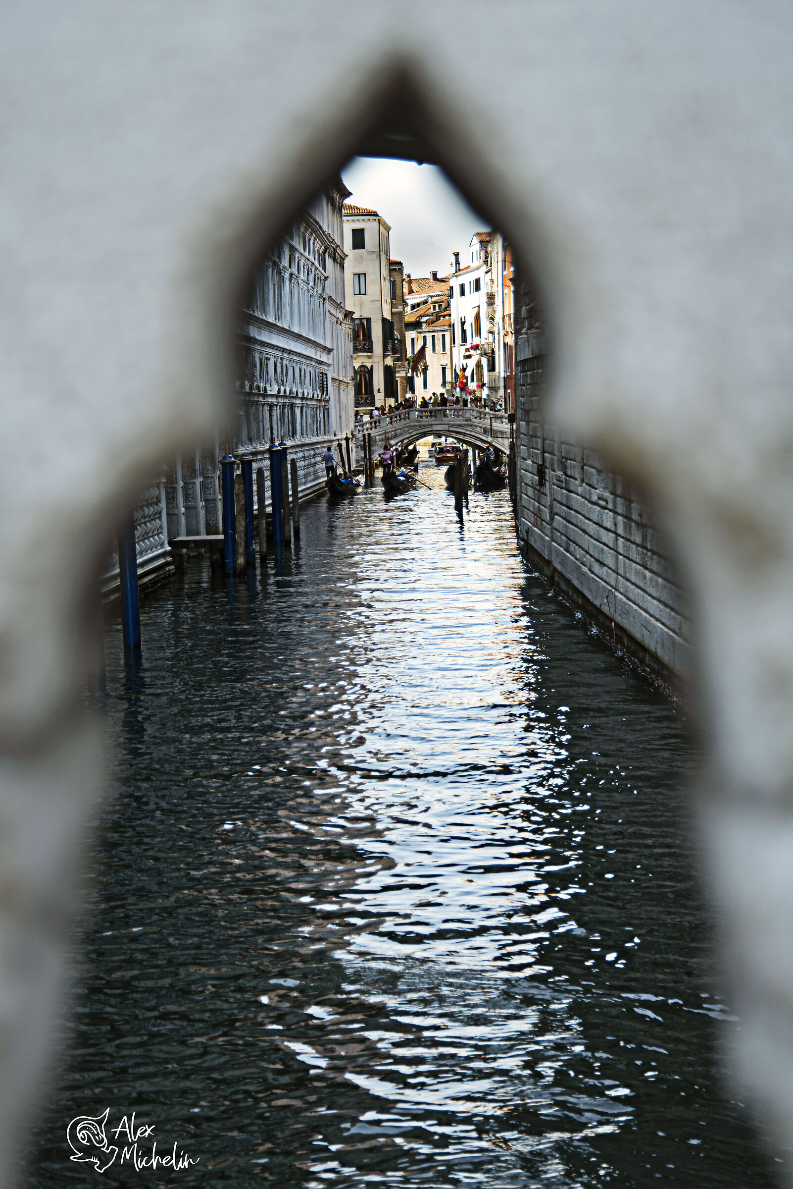 venezia