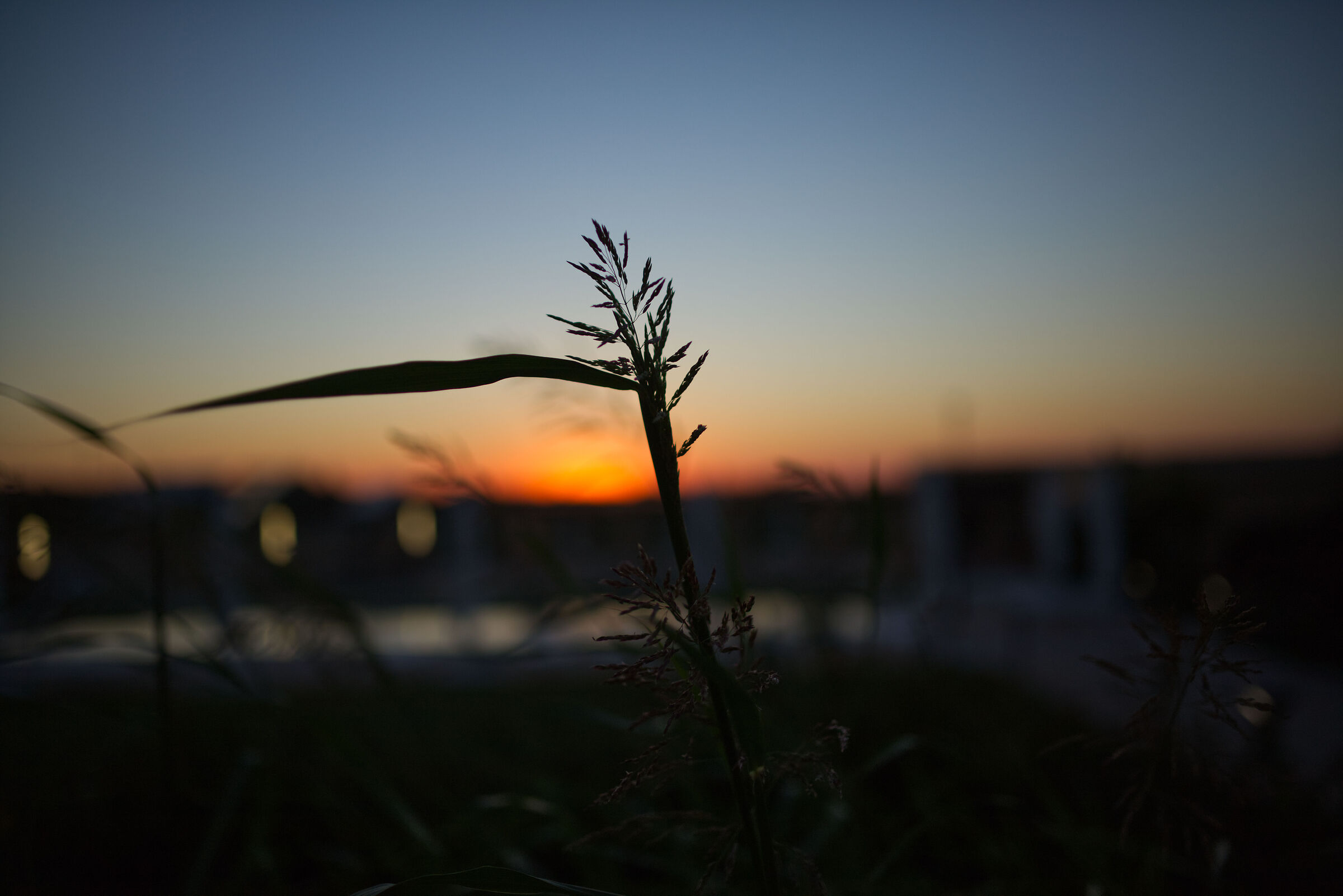 sunsets in the masseria
