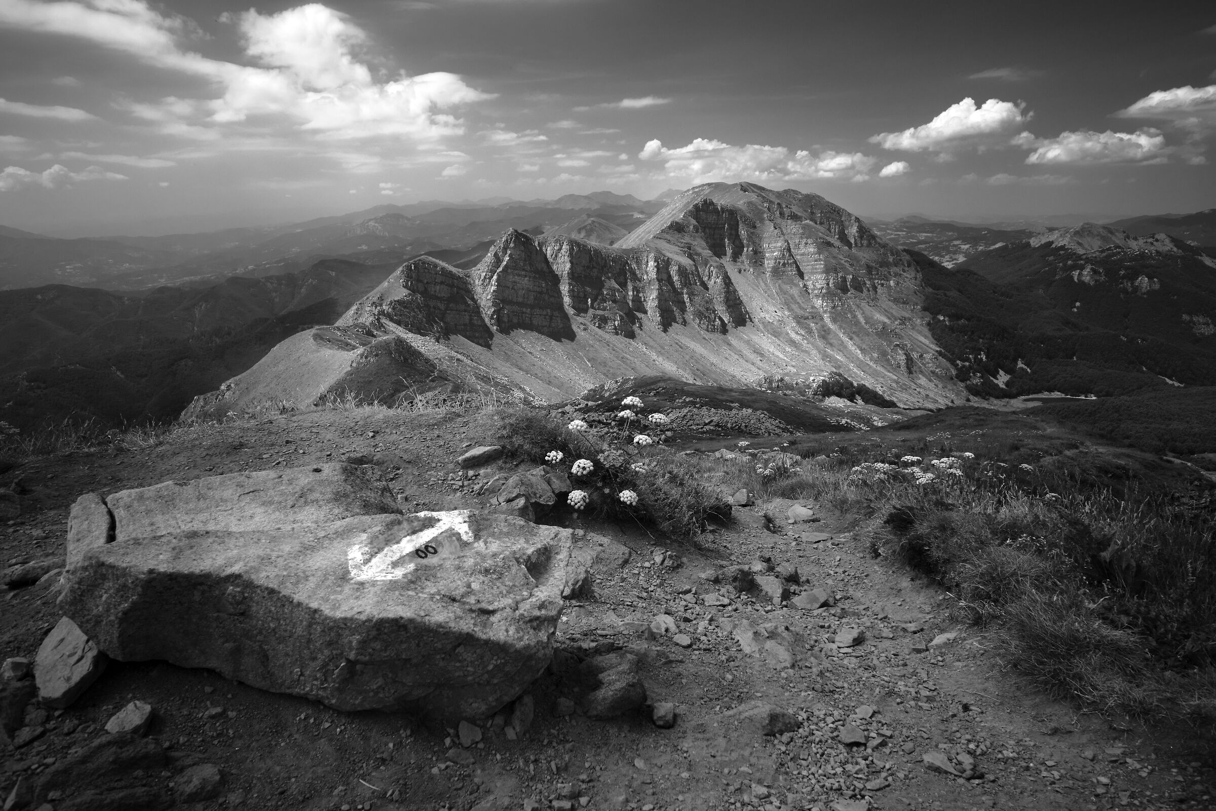 From Mount Rondinaio