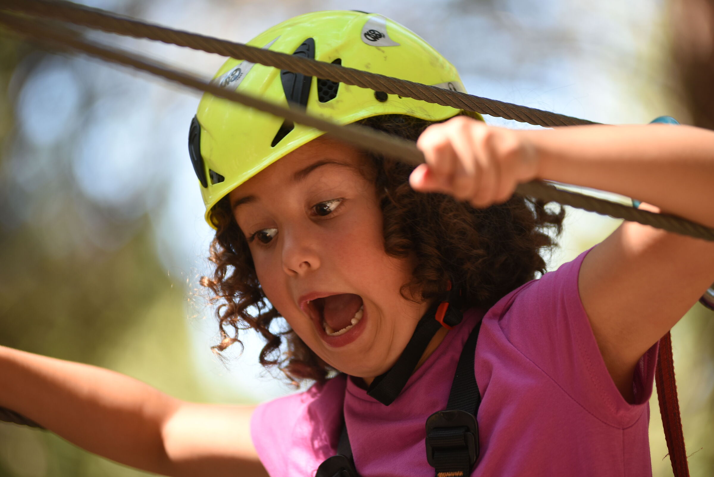 Terror runs on the wire