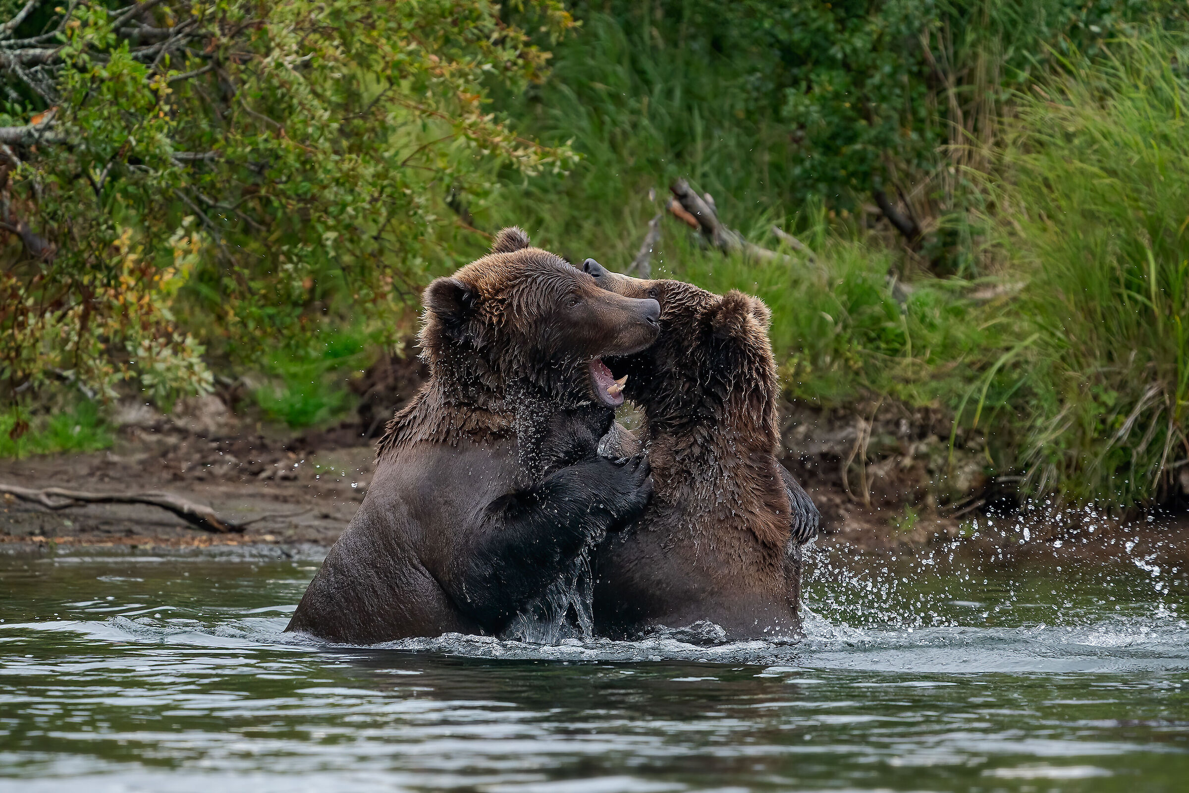 Discussions between young people