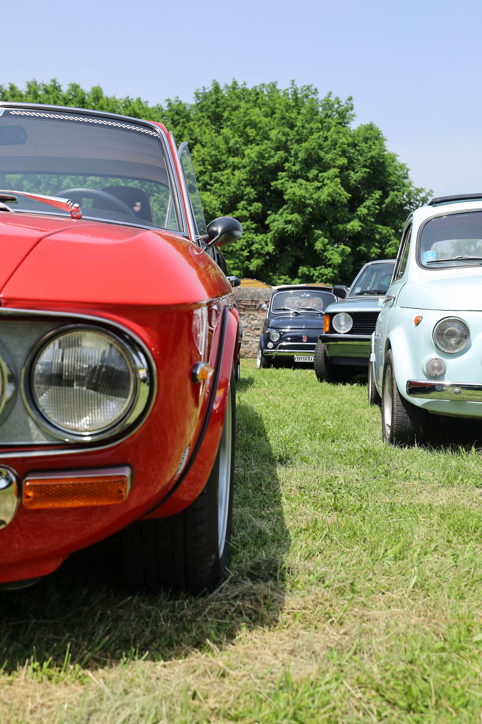 Vintage cars