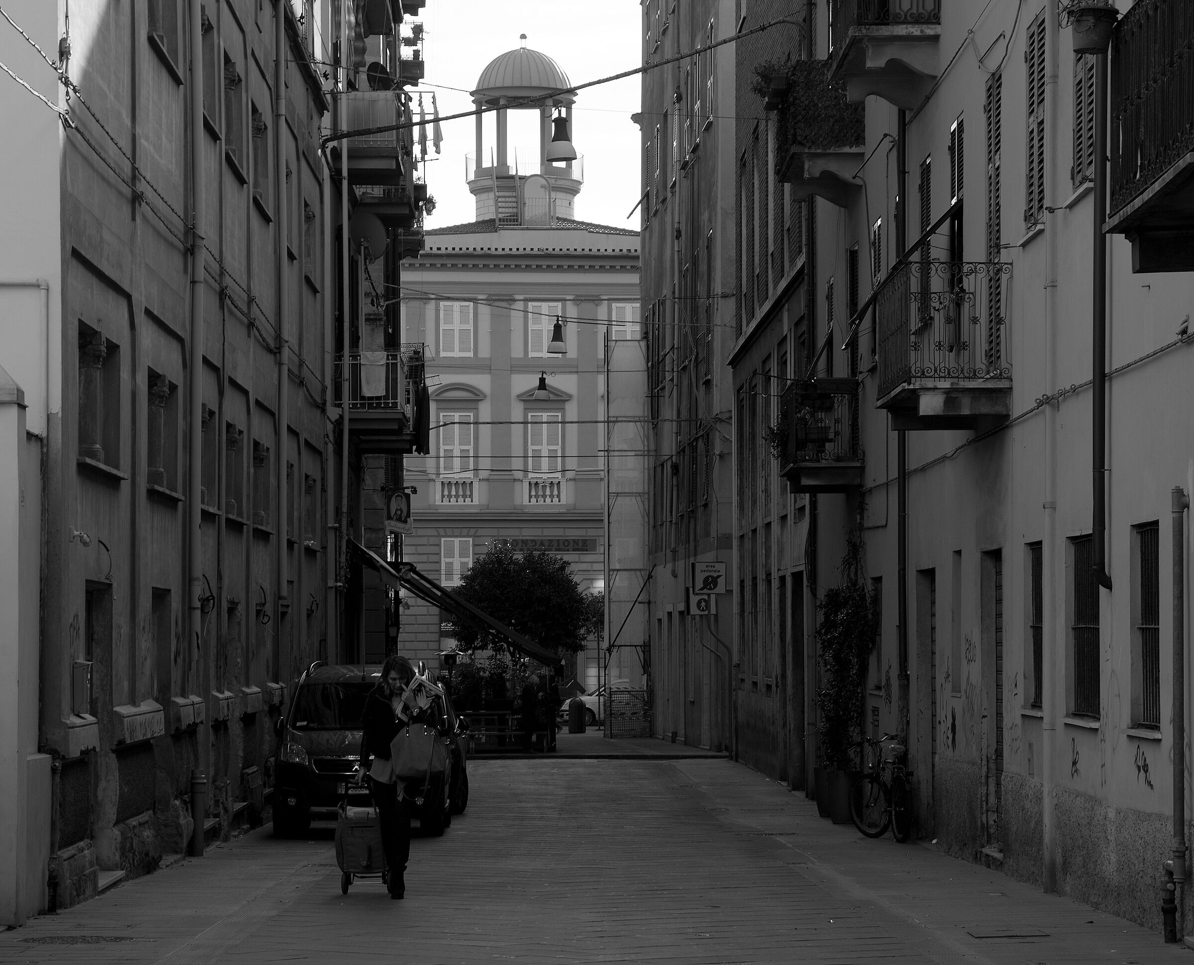 Spice in Black and White 1