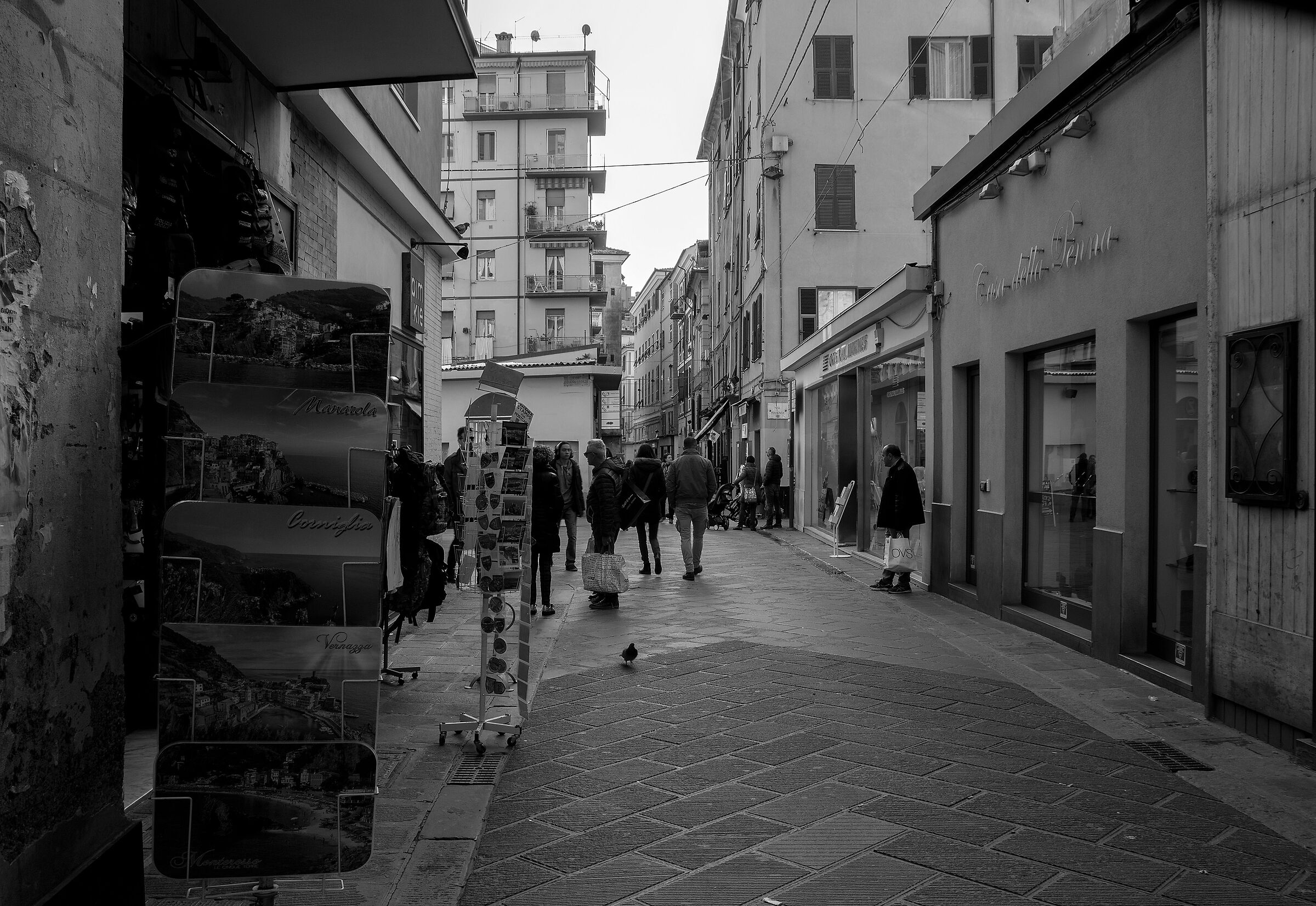 Spice in Black and White 5