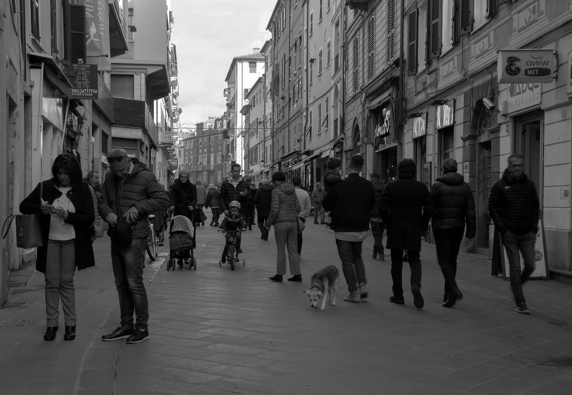 Spice in Black and White 6